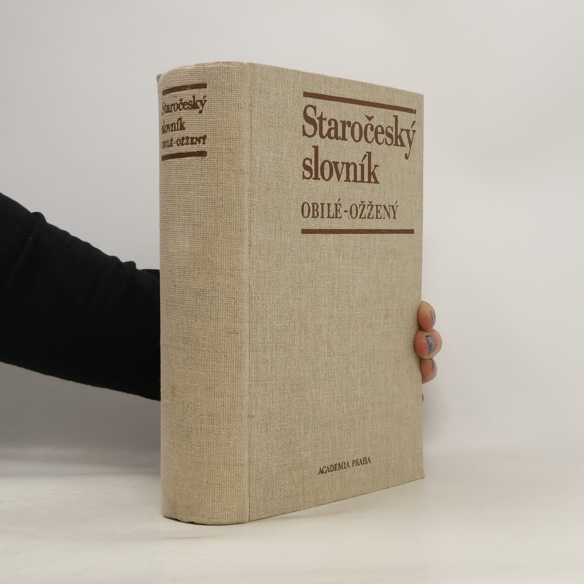 Collectif d'auteurs Staročeský slovník