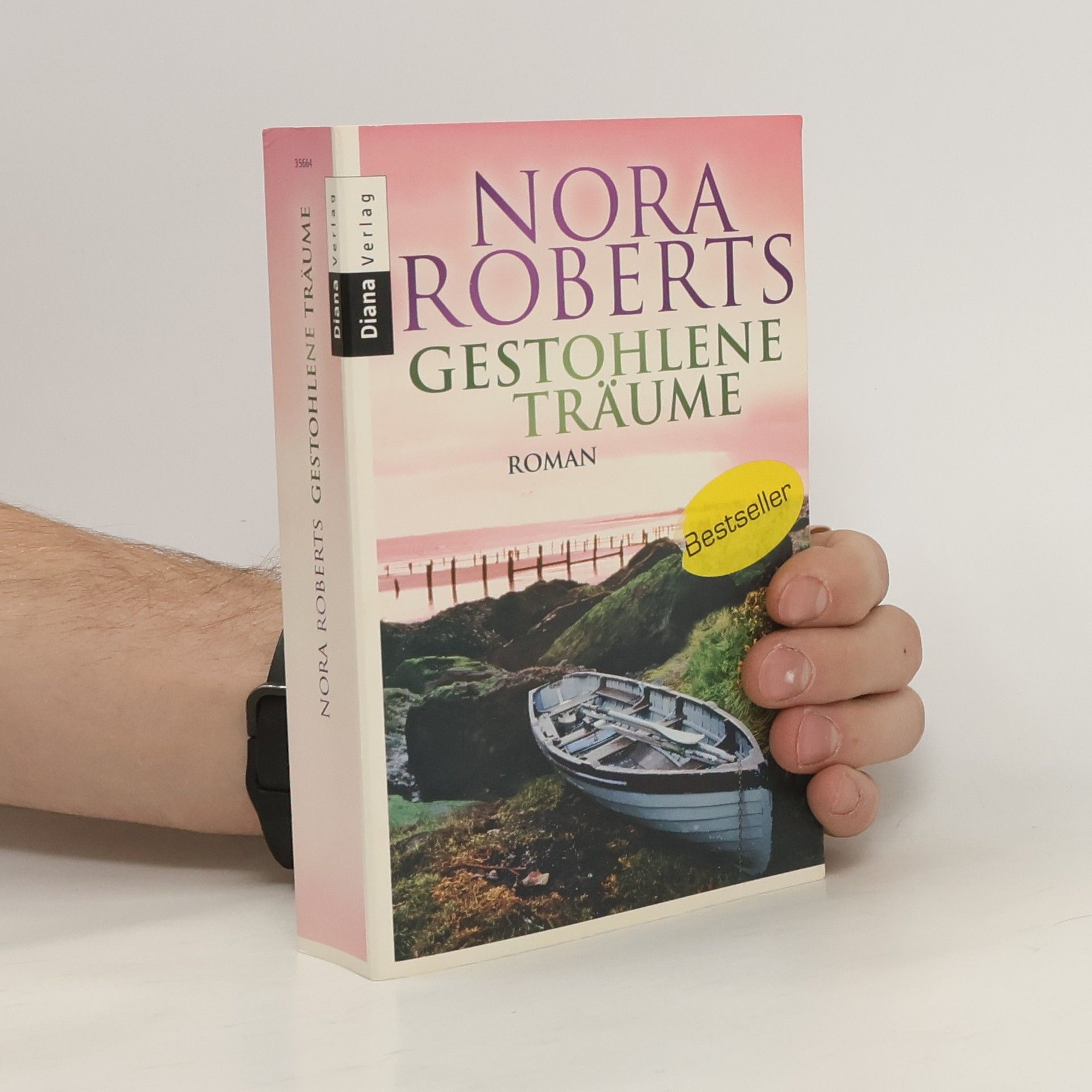 Nora Roberts Gestohlene Träume