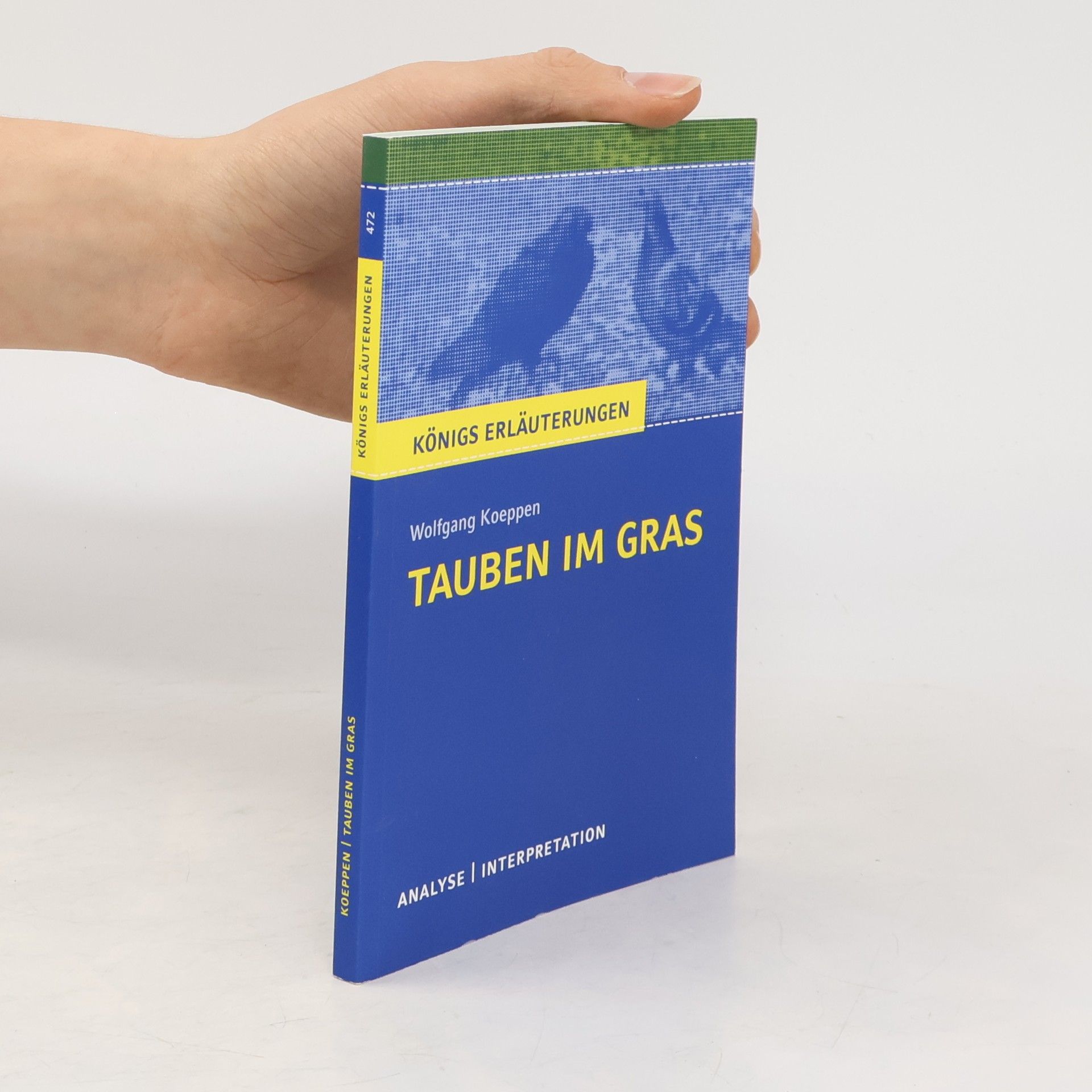 Horst Grobe Interpretation zu Wolfgang Koeppen 'Tauben im Gras'
