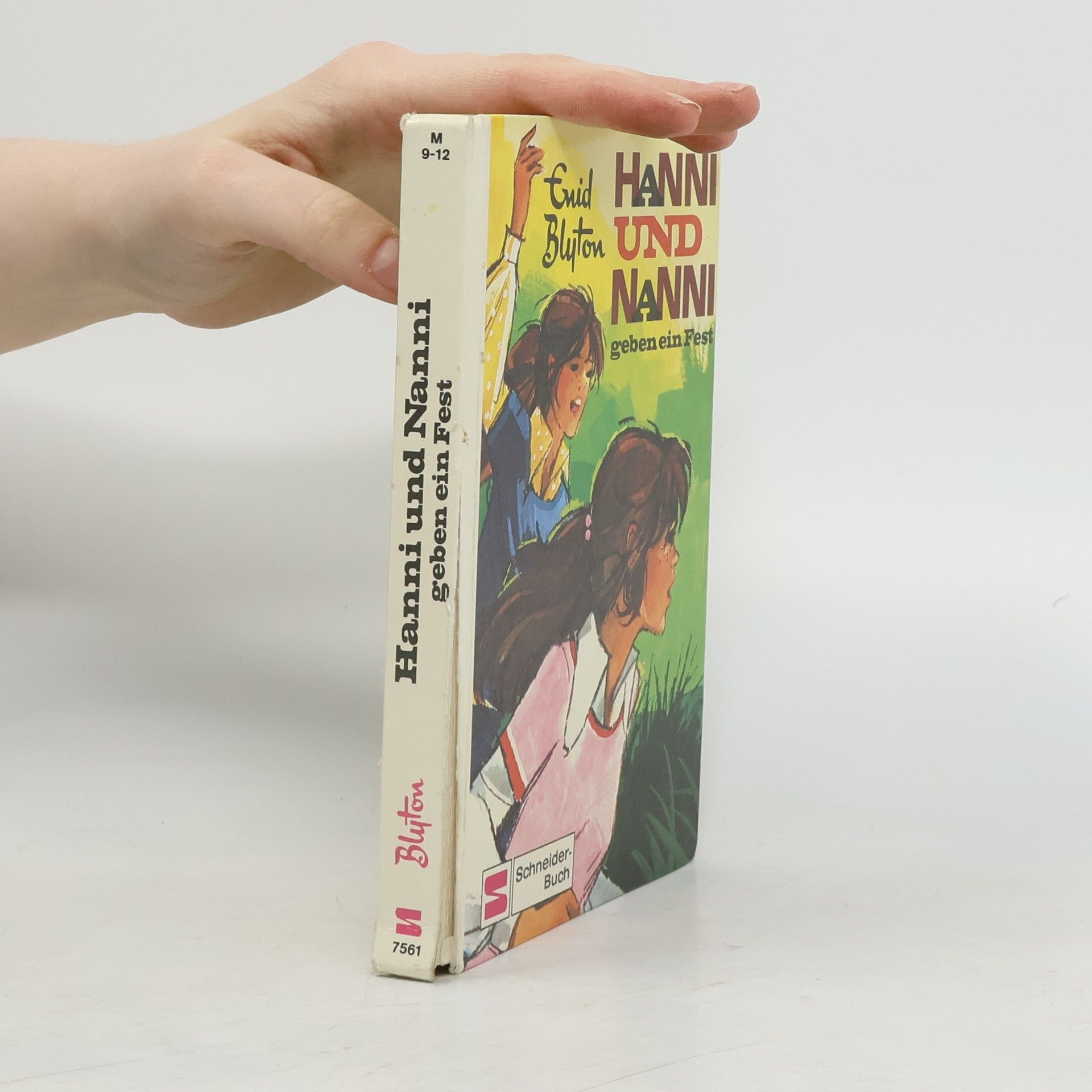 Enid Blyton Hanni und Nanni geben ein Fest