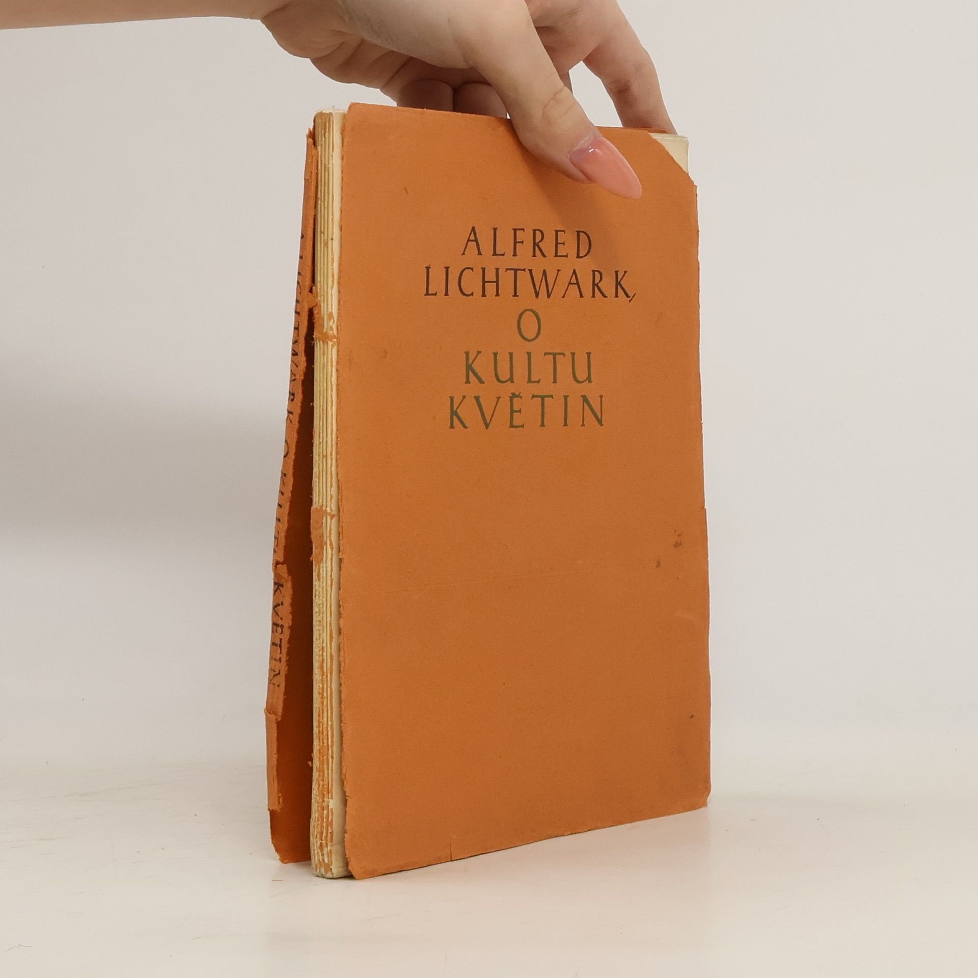 Alfred Lichtwark O kultu květin
