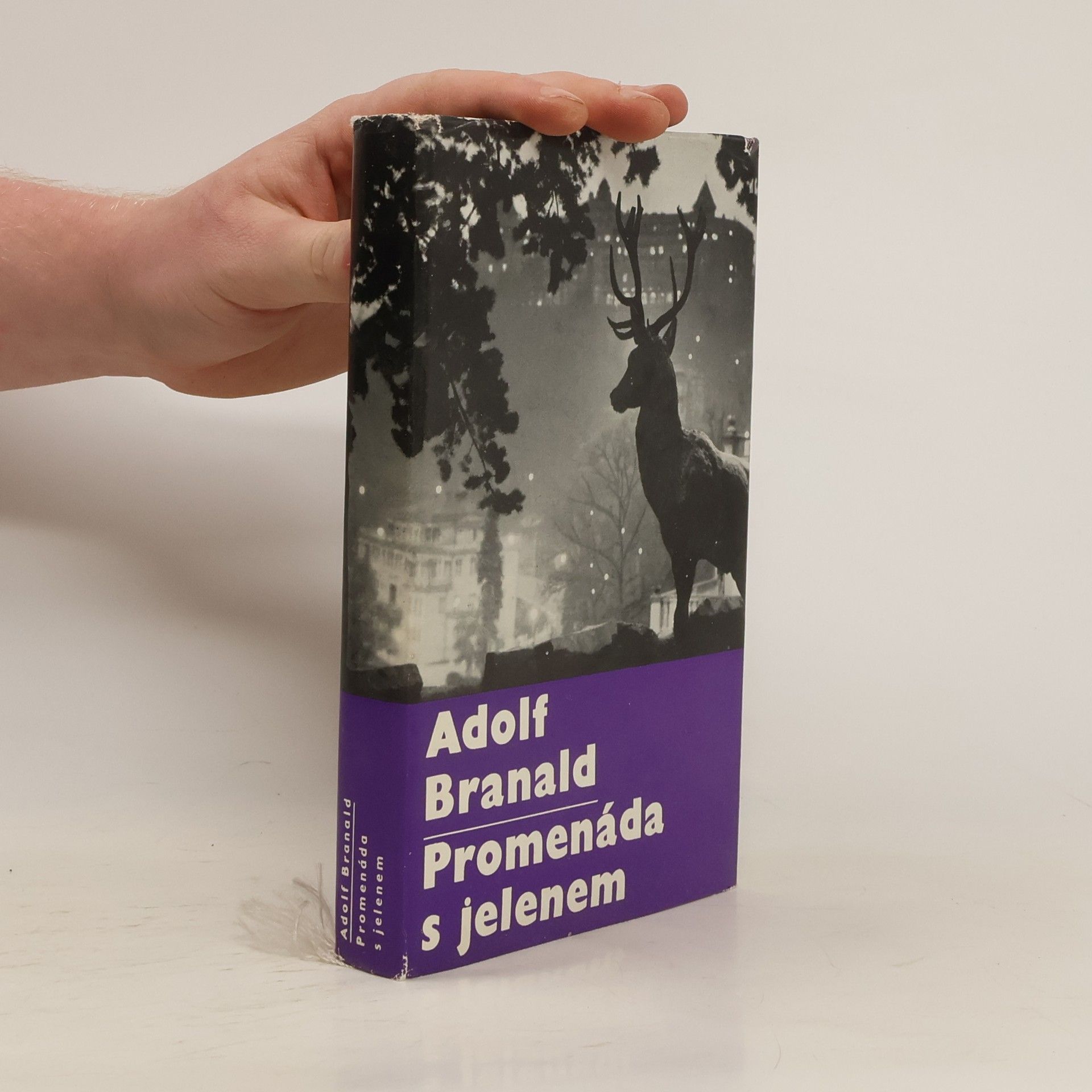 Adolf Branald Promenáda s jelenem