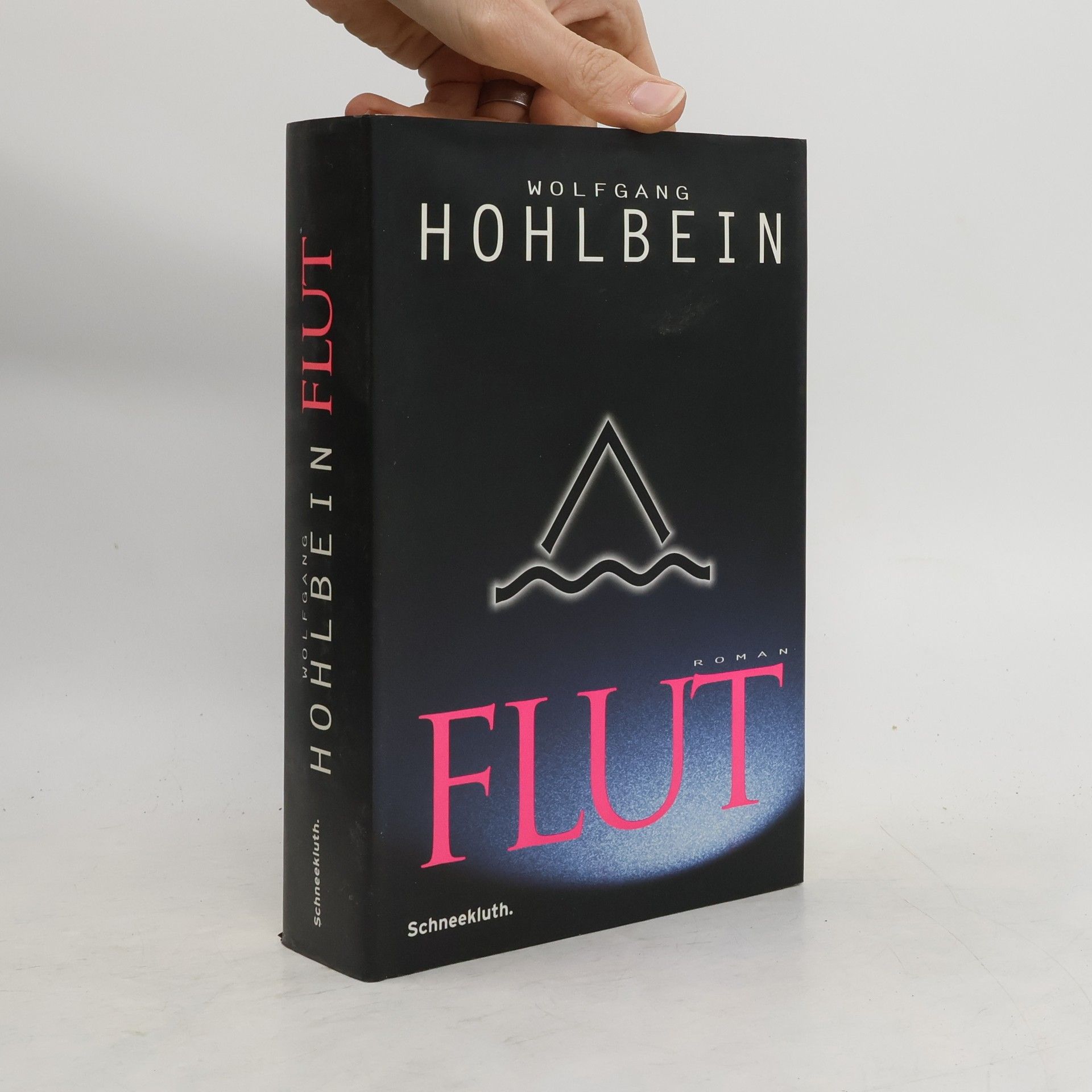 Wolfgang Hohlbein Flut