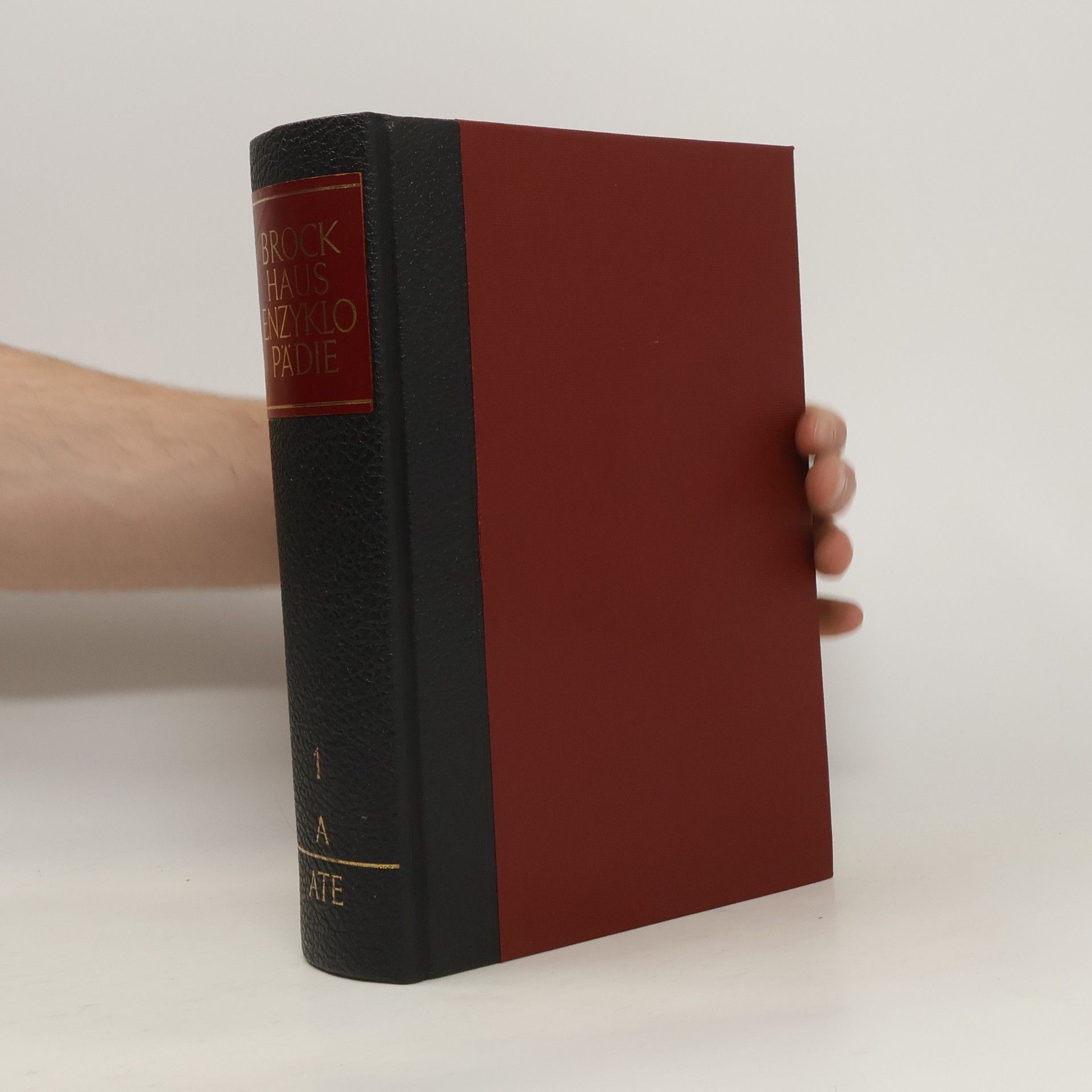 Autorenkollektiv Brockhaus Enzyklopädie 1. A-ATE