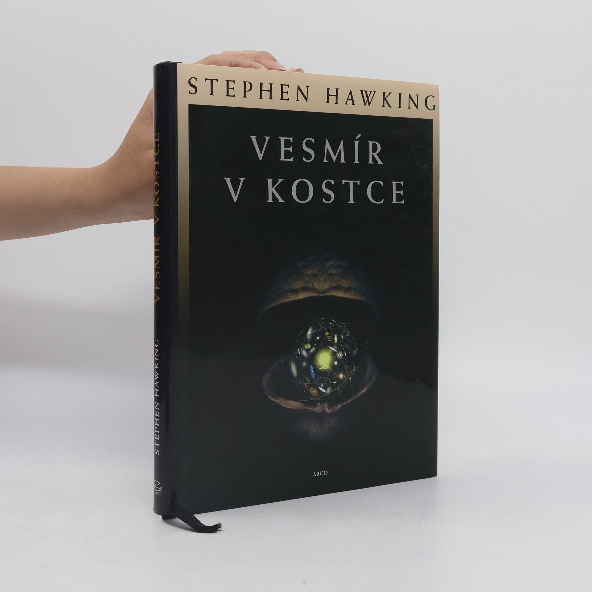 Stephen Hawking Vesmír v kostce
