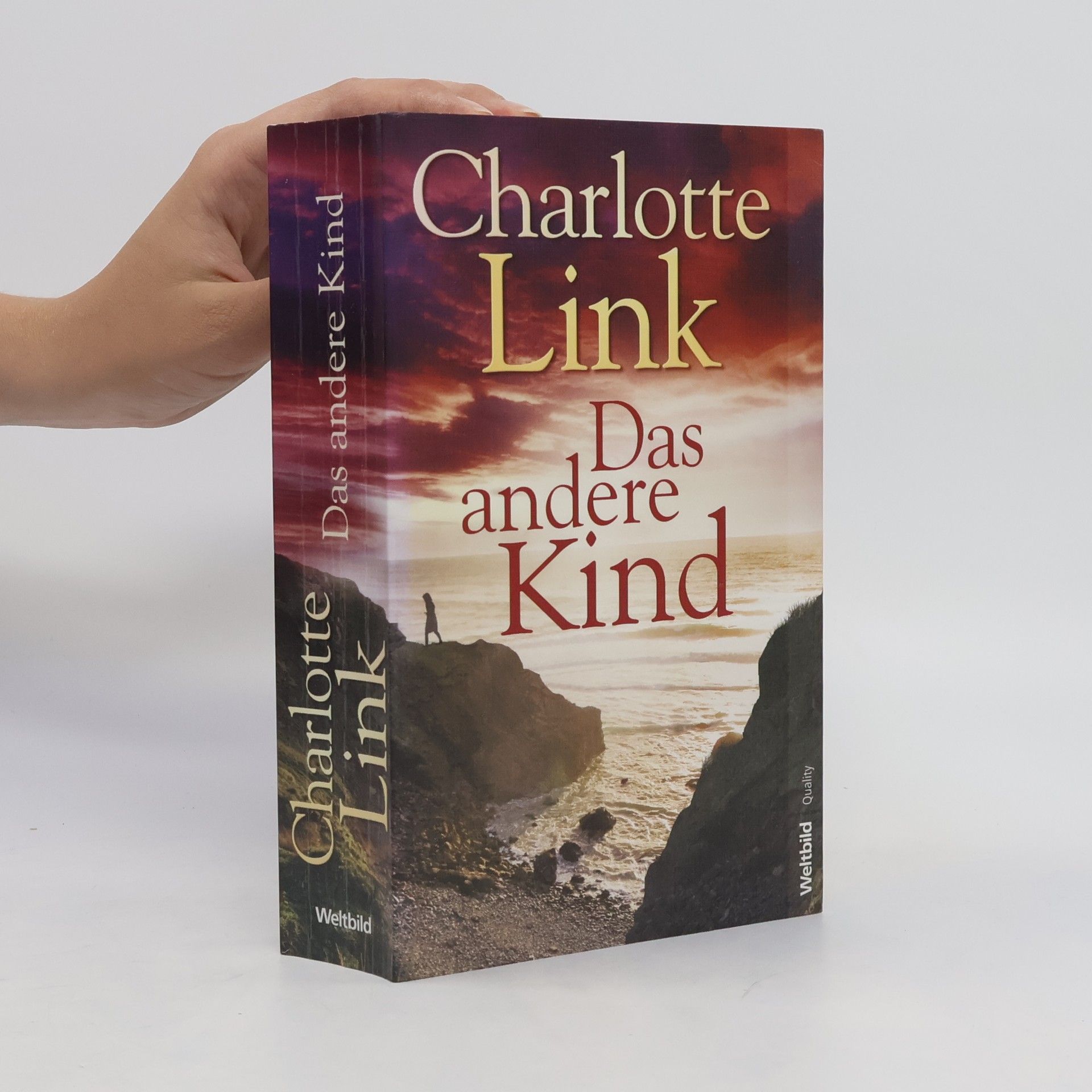 Charlotte Link Das andere Kind
