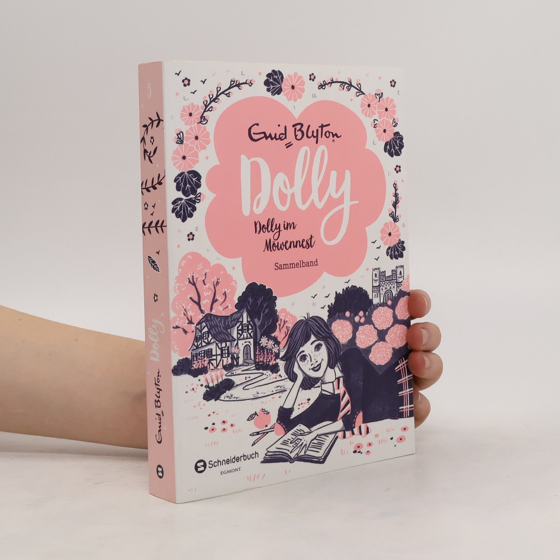 Enid Blyton Dolly im Möwennest