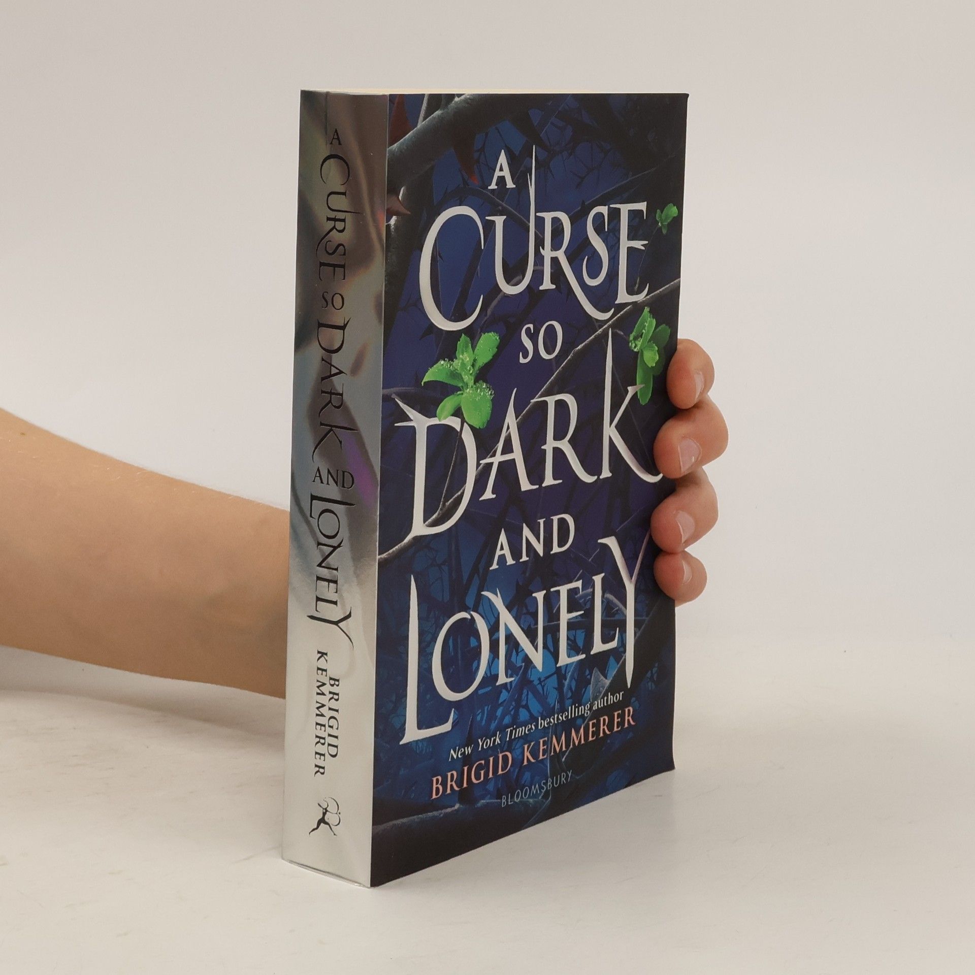 Brigid Kemmerer A curse so dark and lonely (1. díl série)