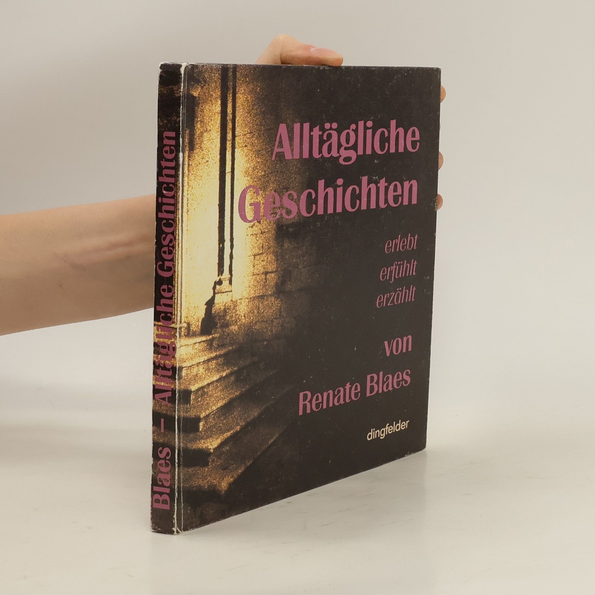 Renate Blaes Alltägliche Geschichten