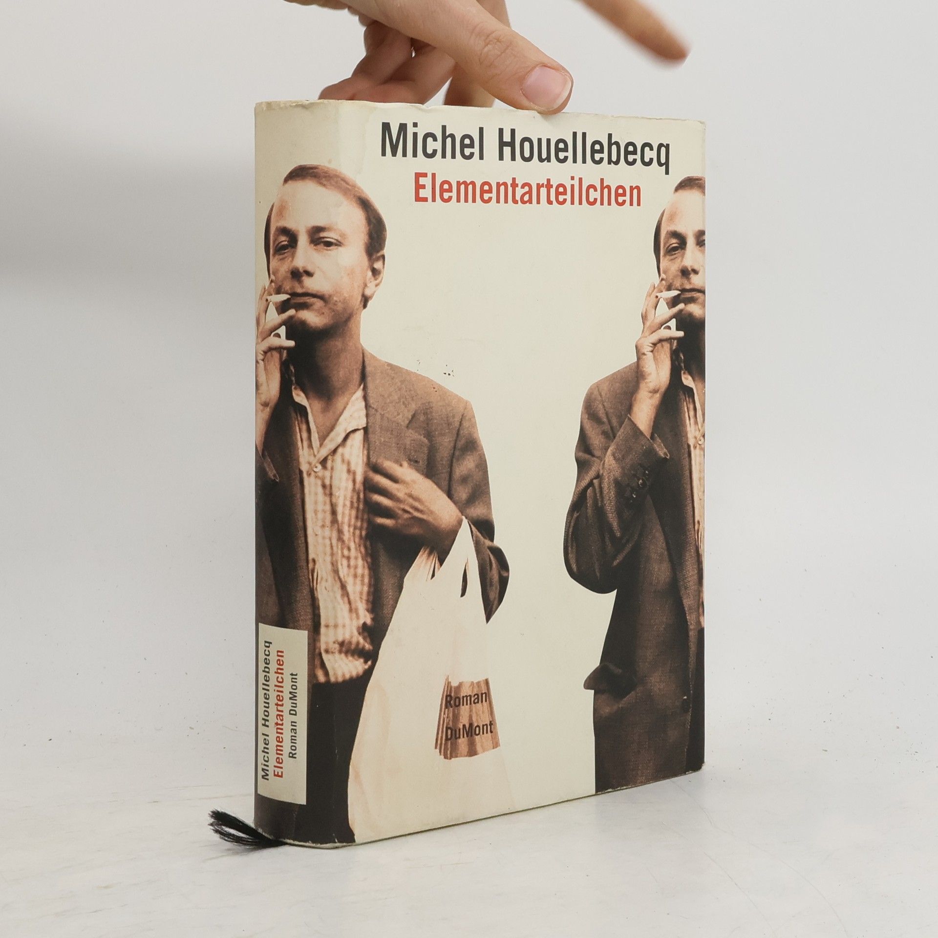 Michel Houellebecq Elementarteilchen