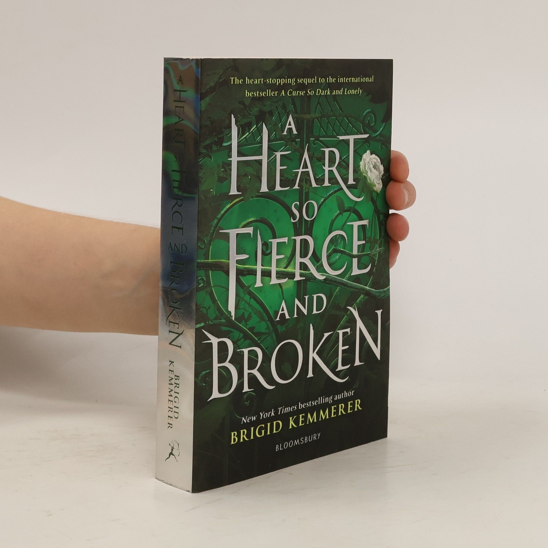 Brigid Kemmerer A Heart So Fierce and Broken