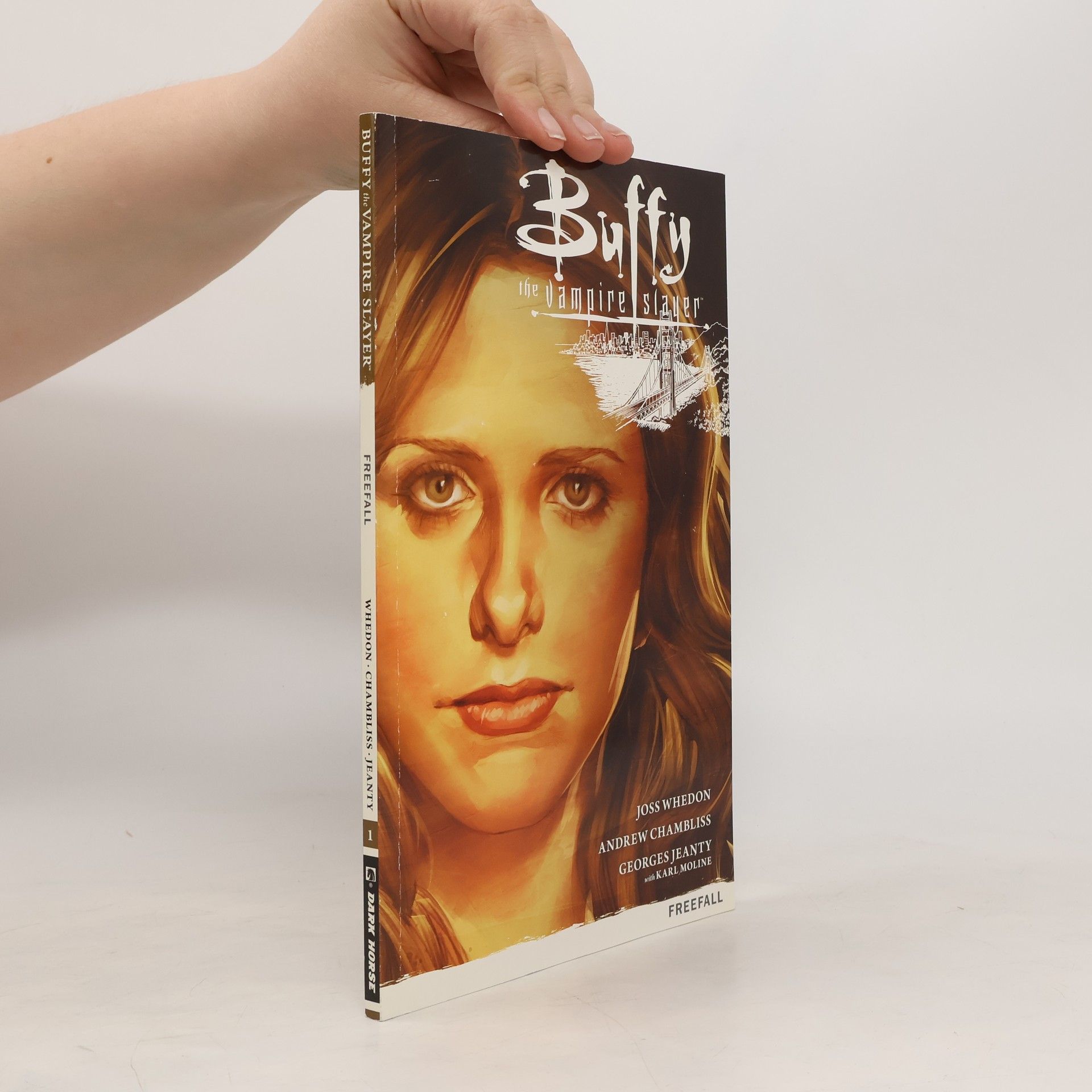 kolektiv Buffy The Vampire Slayer: Season Nine vol. 1 Freefall