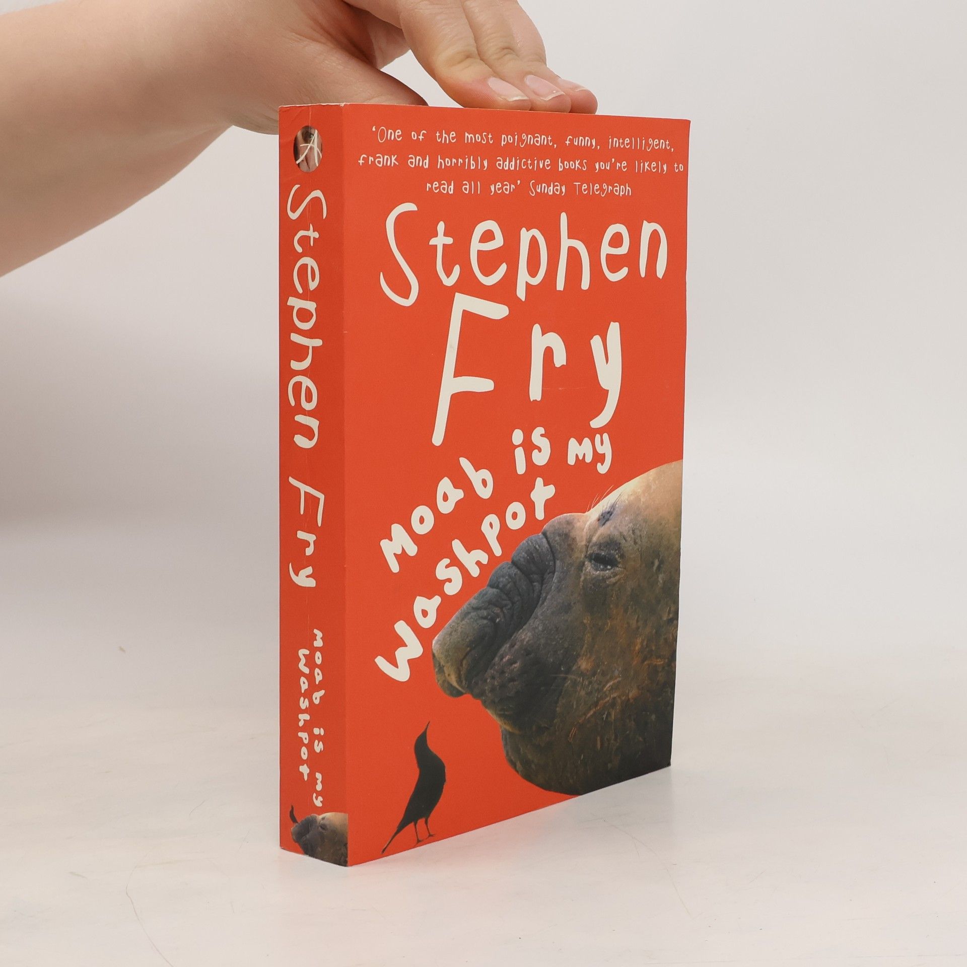 Stephen Fry Moab is My Washpot