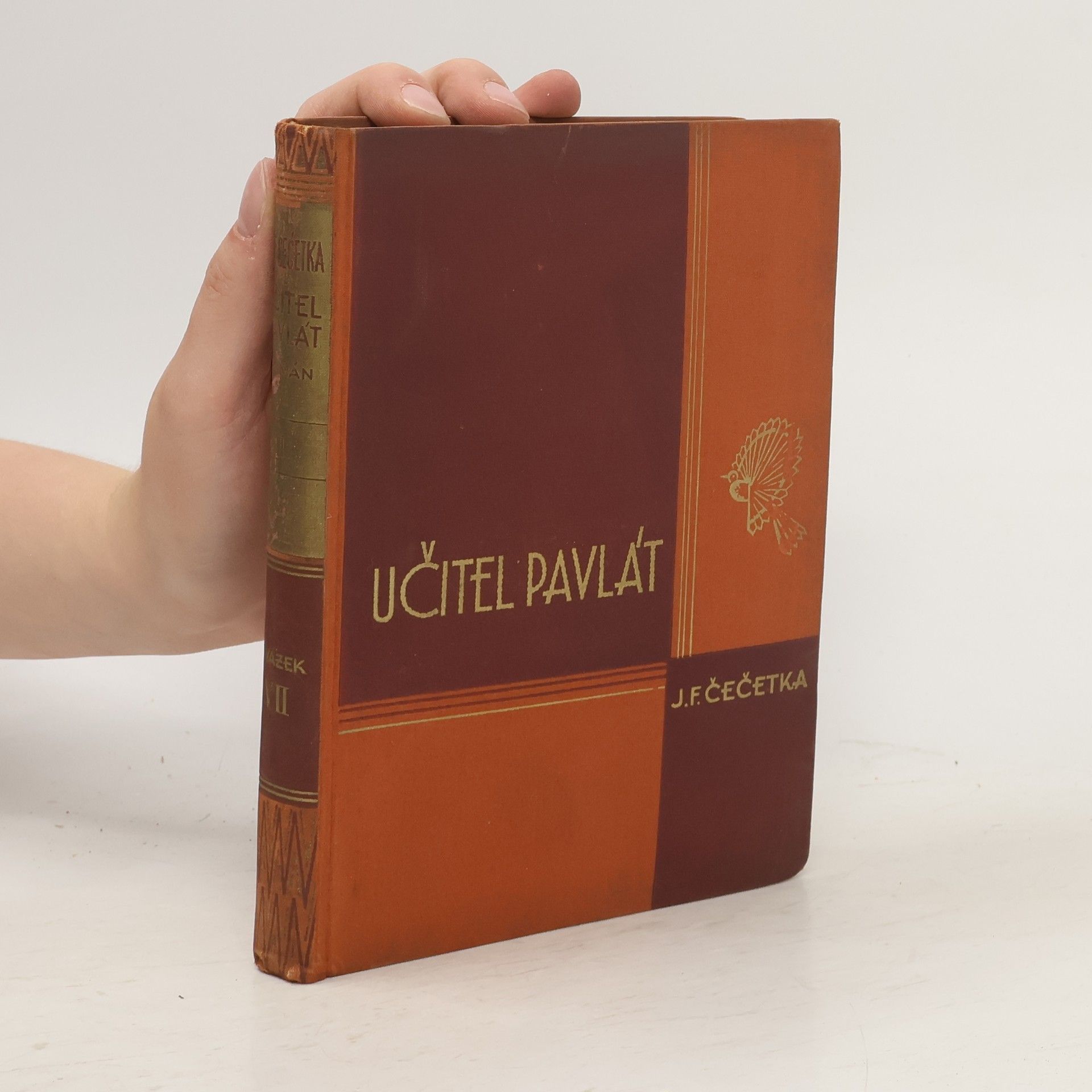 František Josef Čečetka Učitel Pavlát Díl I.