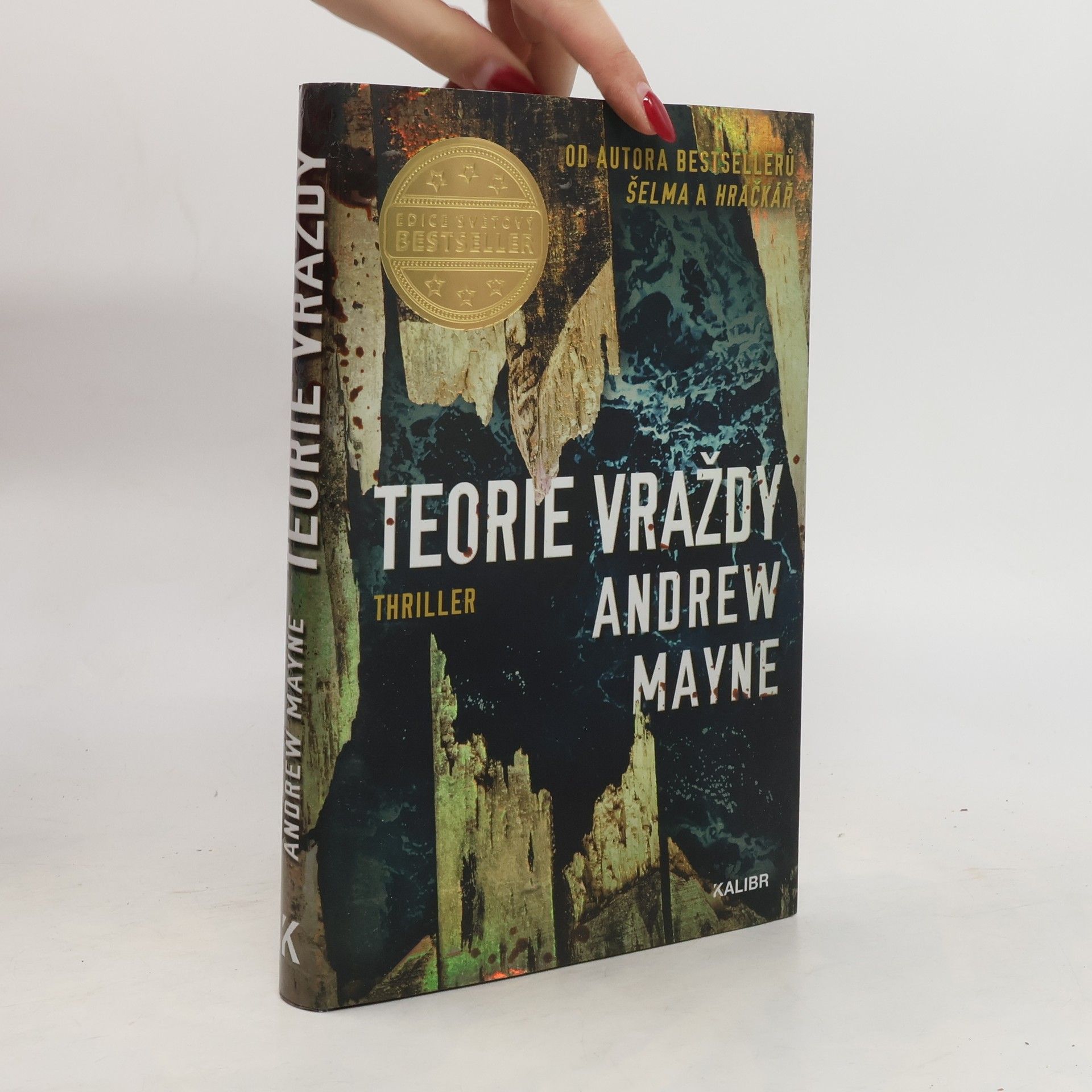 Andrew Mayne Teorie vraždy
