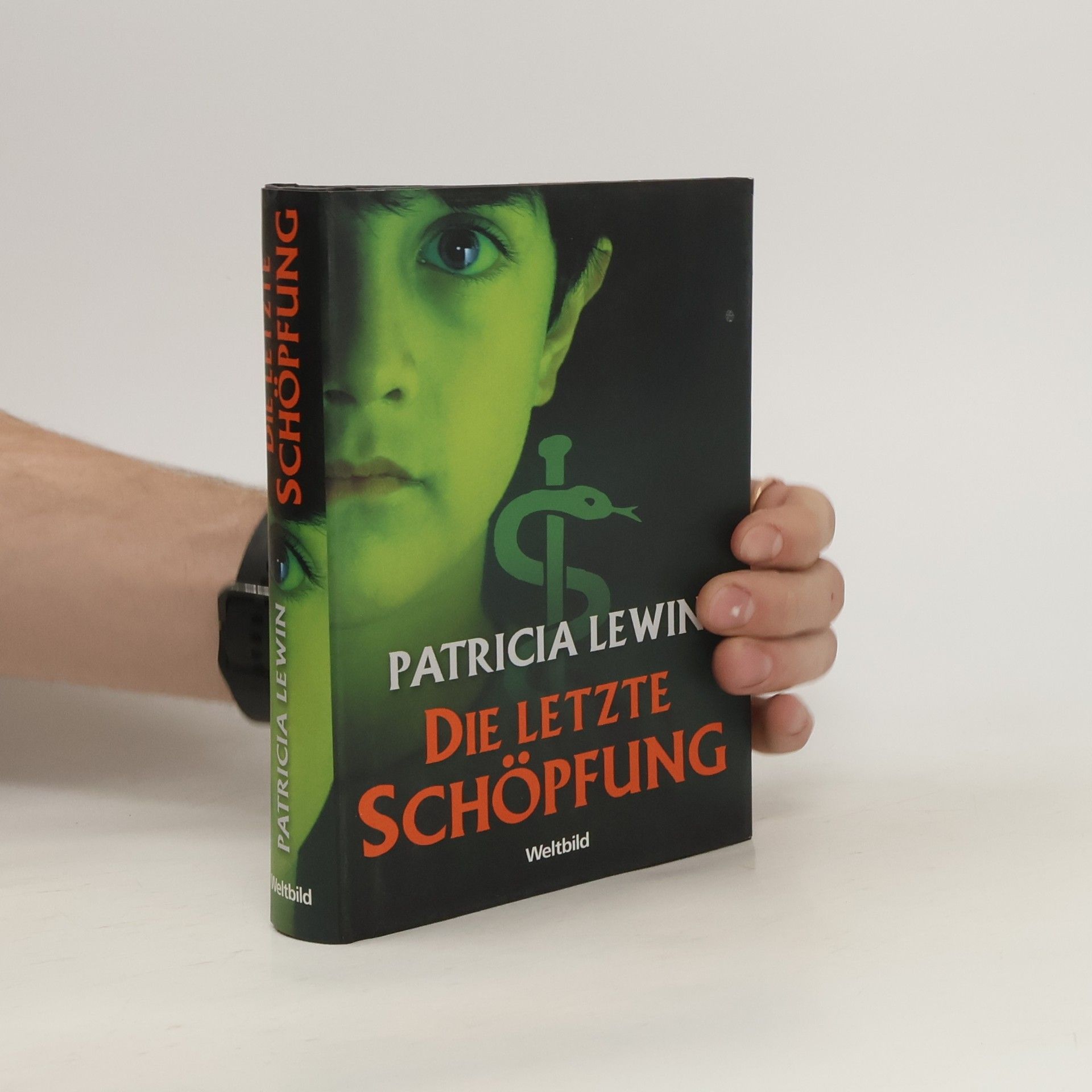 Patricia Lewin Die letzte Schöpfung