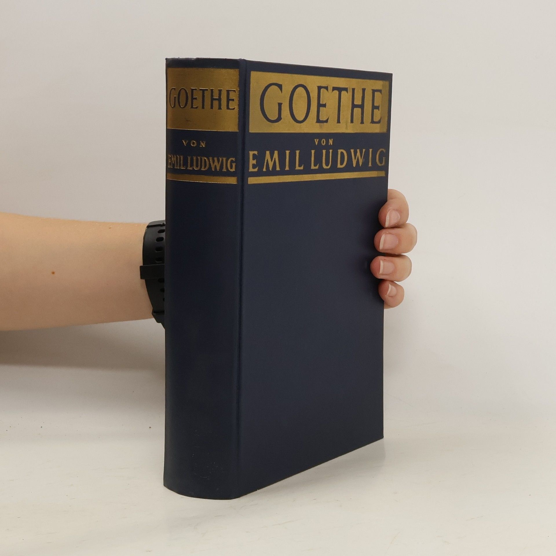 Emil Ludwig Goethe