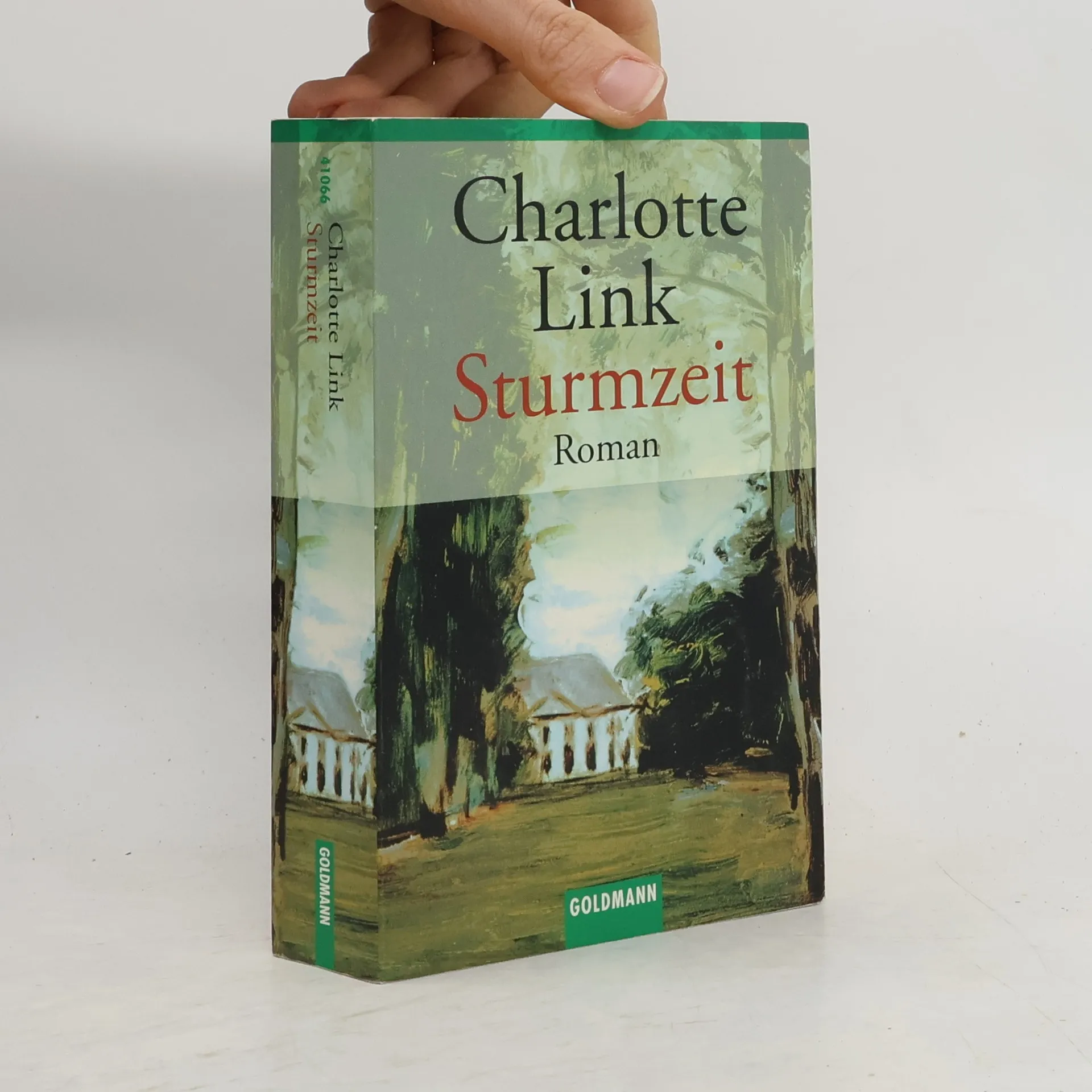 Sturmzeit | Buch | Paperback | Charlotte Link