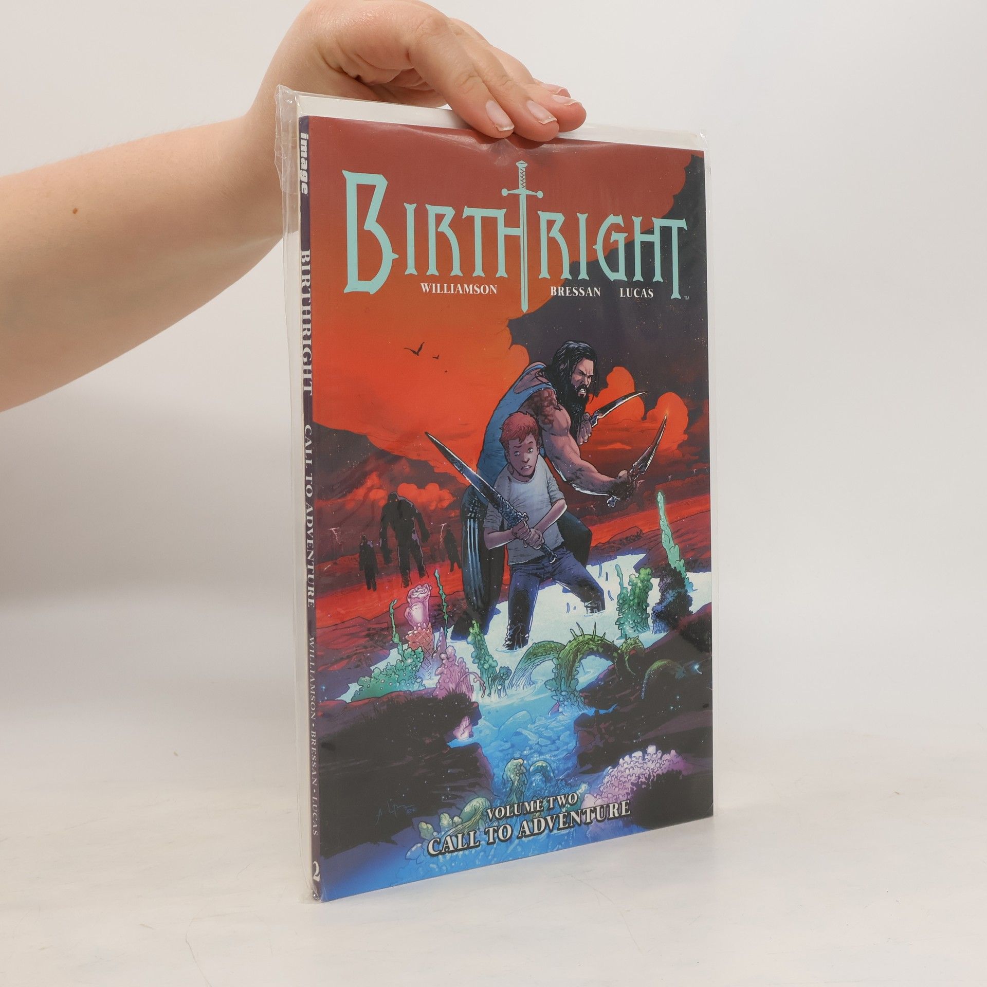 Joshua Williamson Birthright Vol. 2: Call to Adventure
