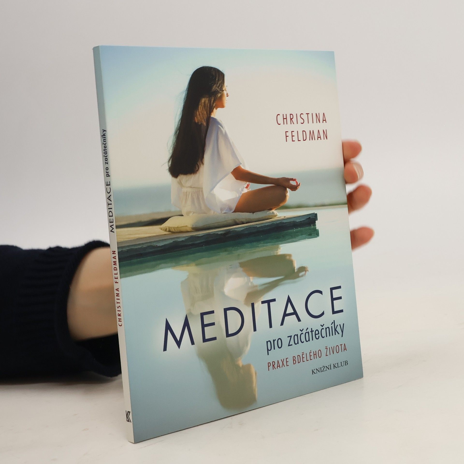 Christina Feldman Meditace pro začátečníky. Praxe bdělého života