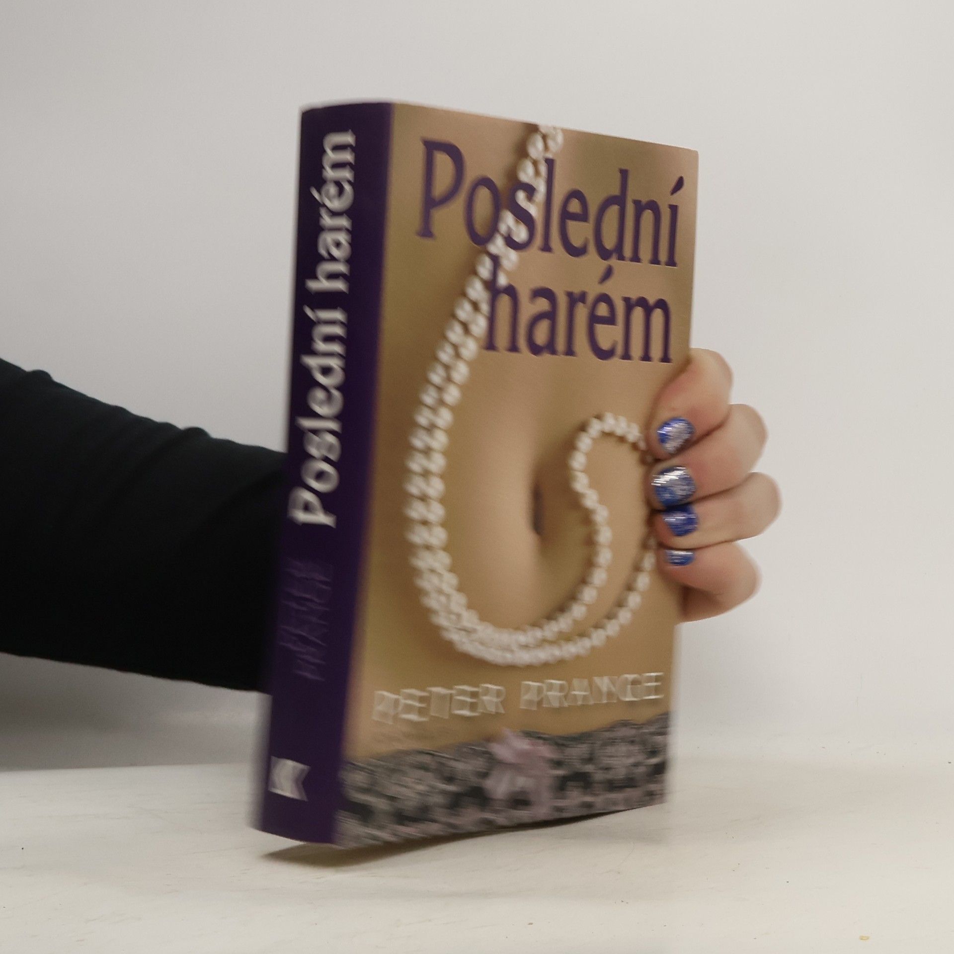 Peter Prange Poslední harém