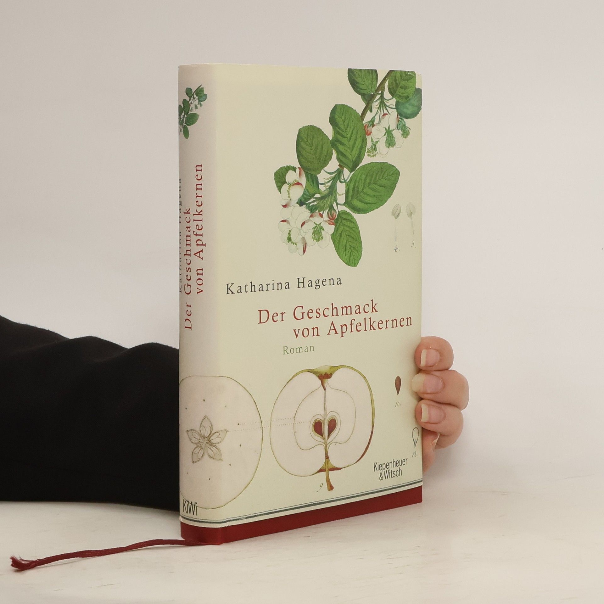 Katharina Hagena Der Geschmack von Apfelkernen