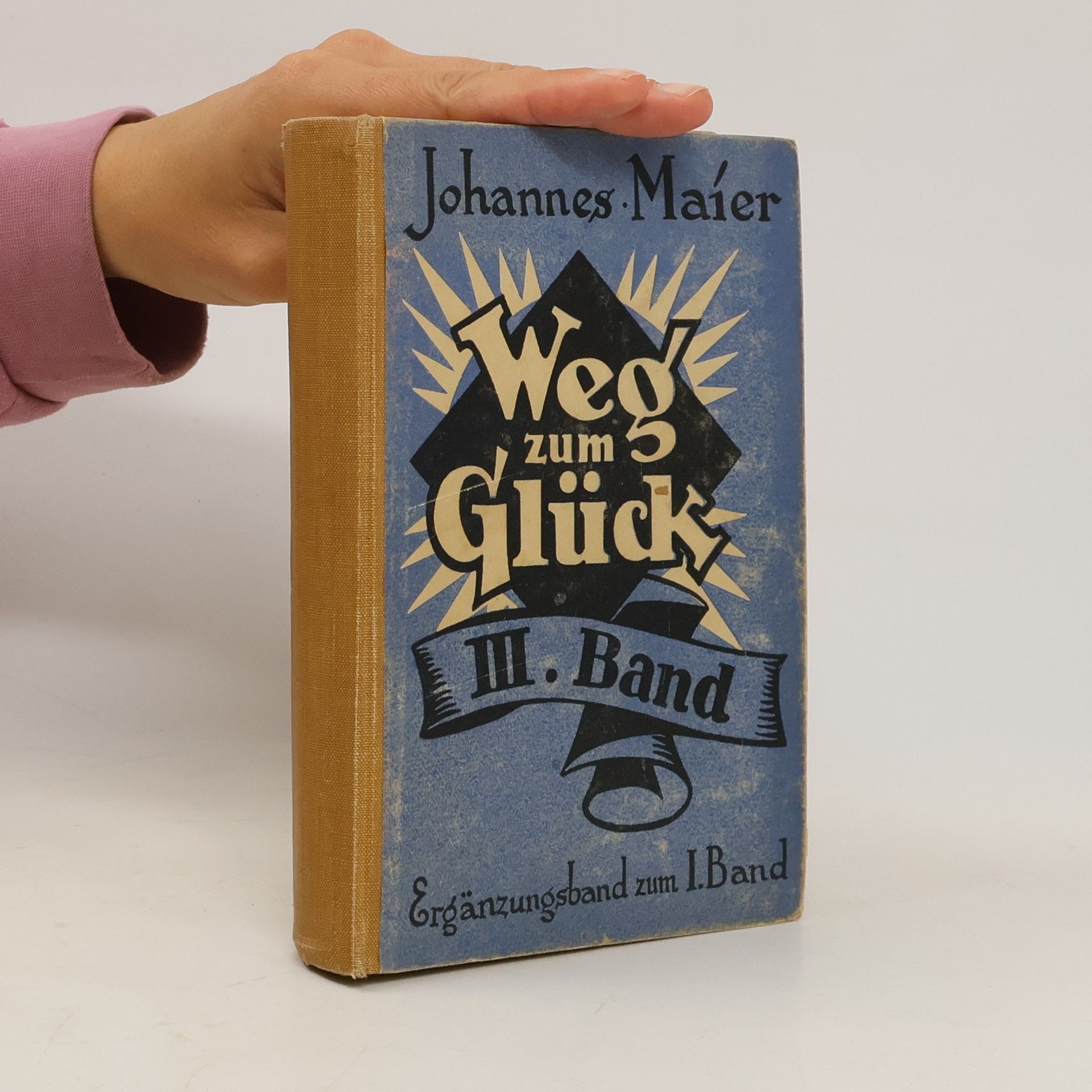Johannes Maier Weg zum Glück III