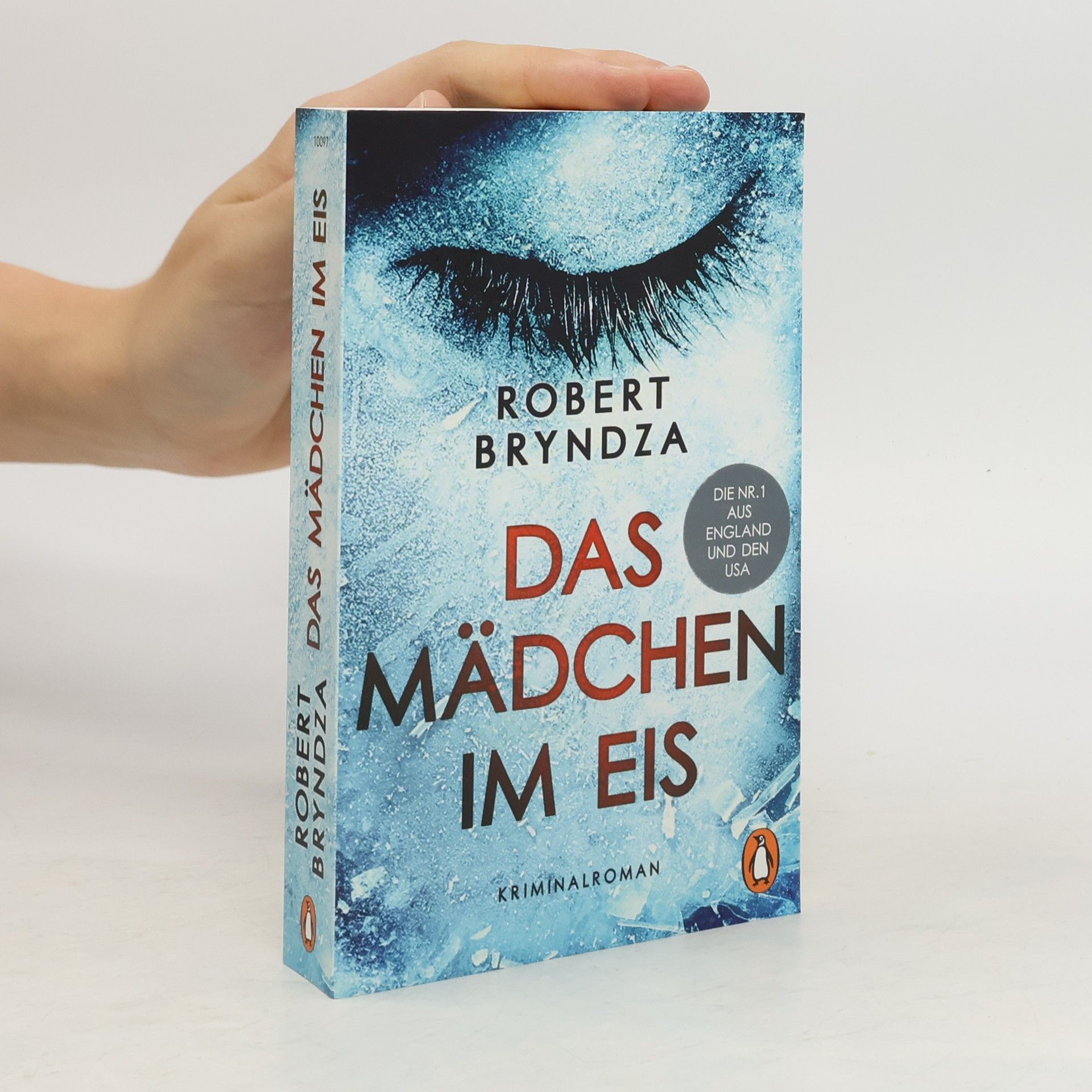 Robert Bryndza Das mädchen im eis
