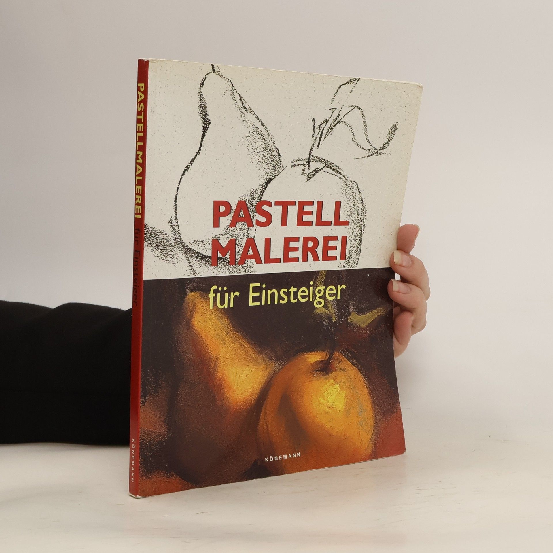 Autorenkollektiv Pastellmalerei für Einsteiger
