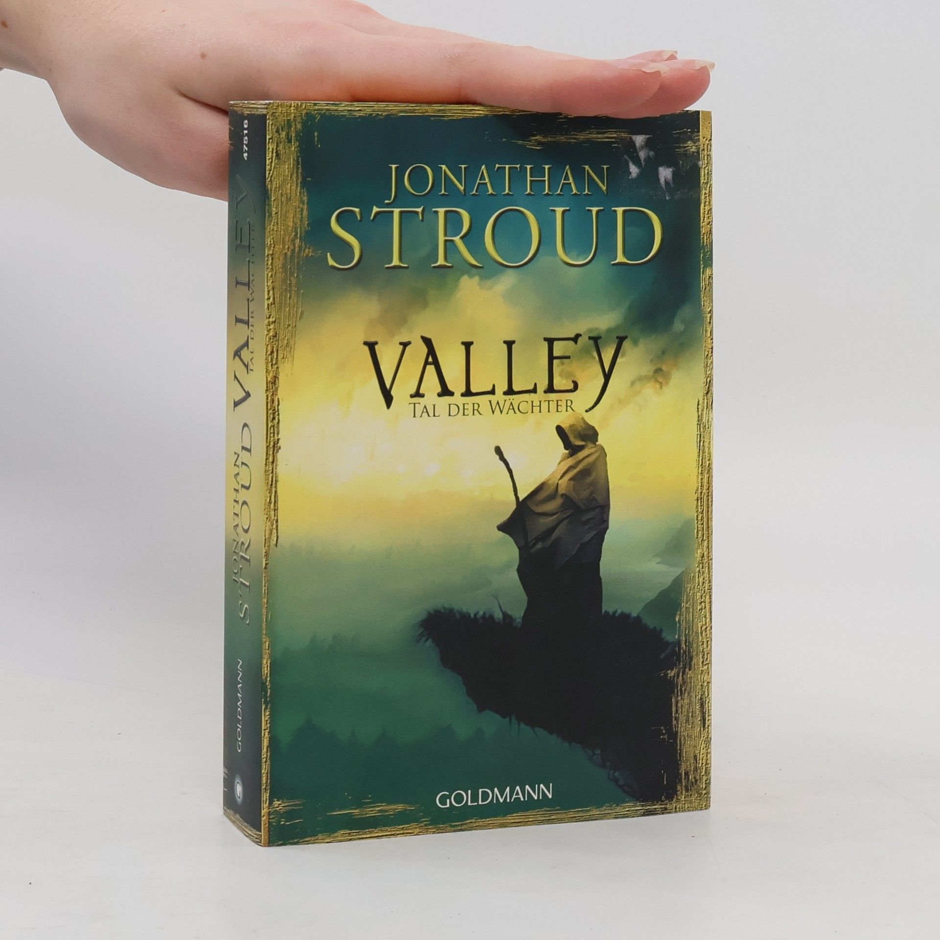 Jonathan Stroud Valley - Tal der Wächter