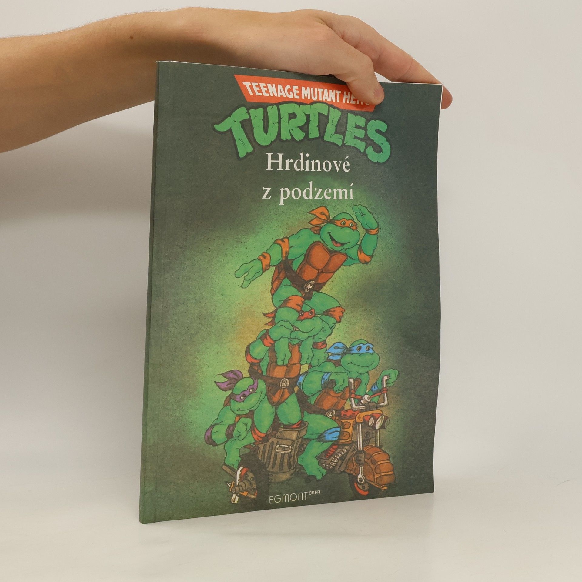 Maureen Spurgeon Teenage Mutant Ninja Turtles. Hrdinové z podzemí