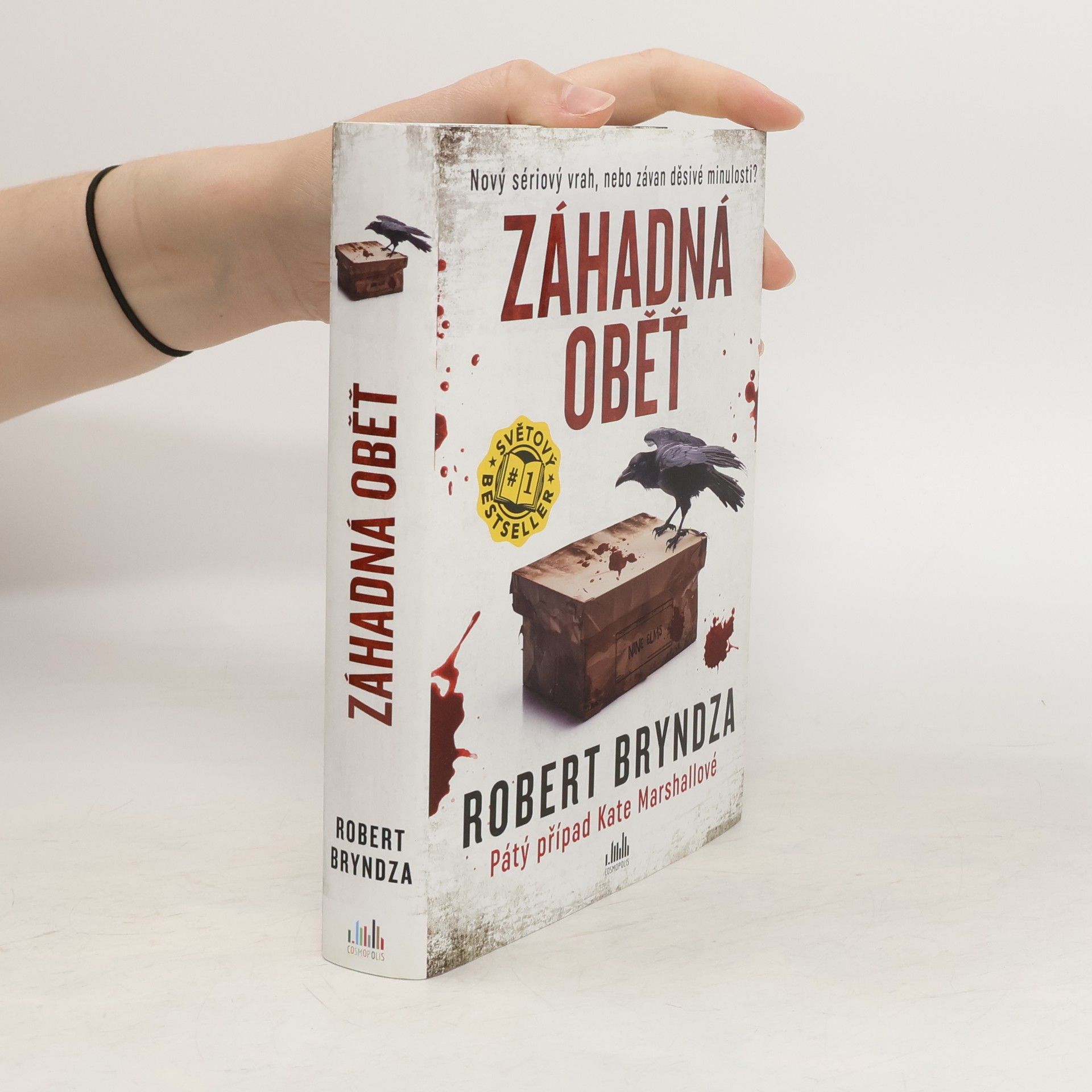 Robert Bryndza Záhadná oběť