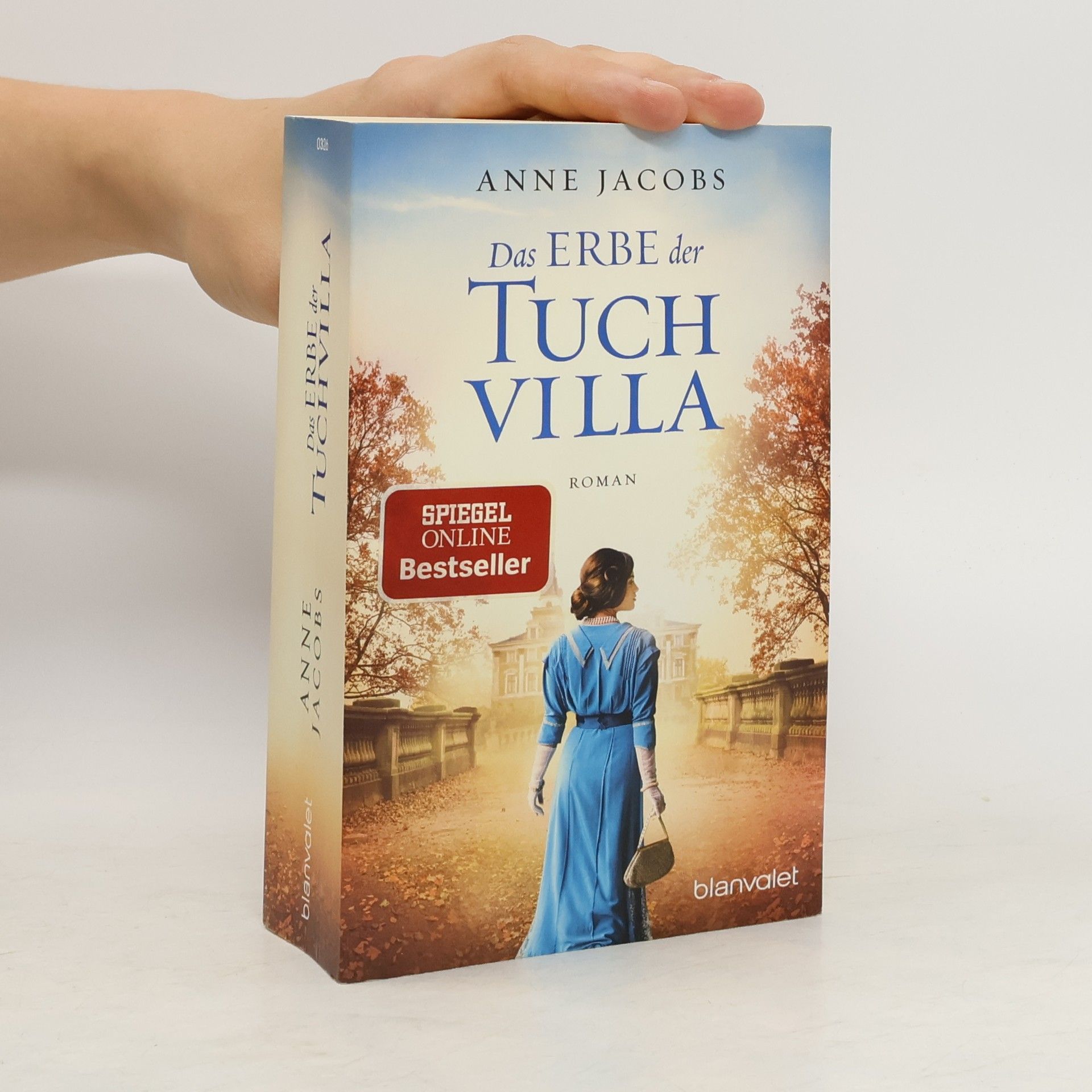 Anne Jacobs Das Erbe der Tuchvilla