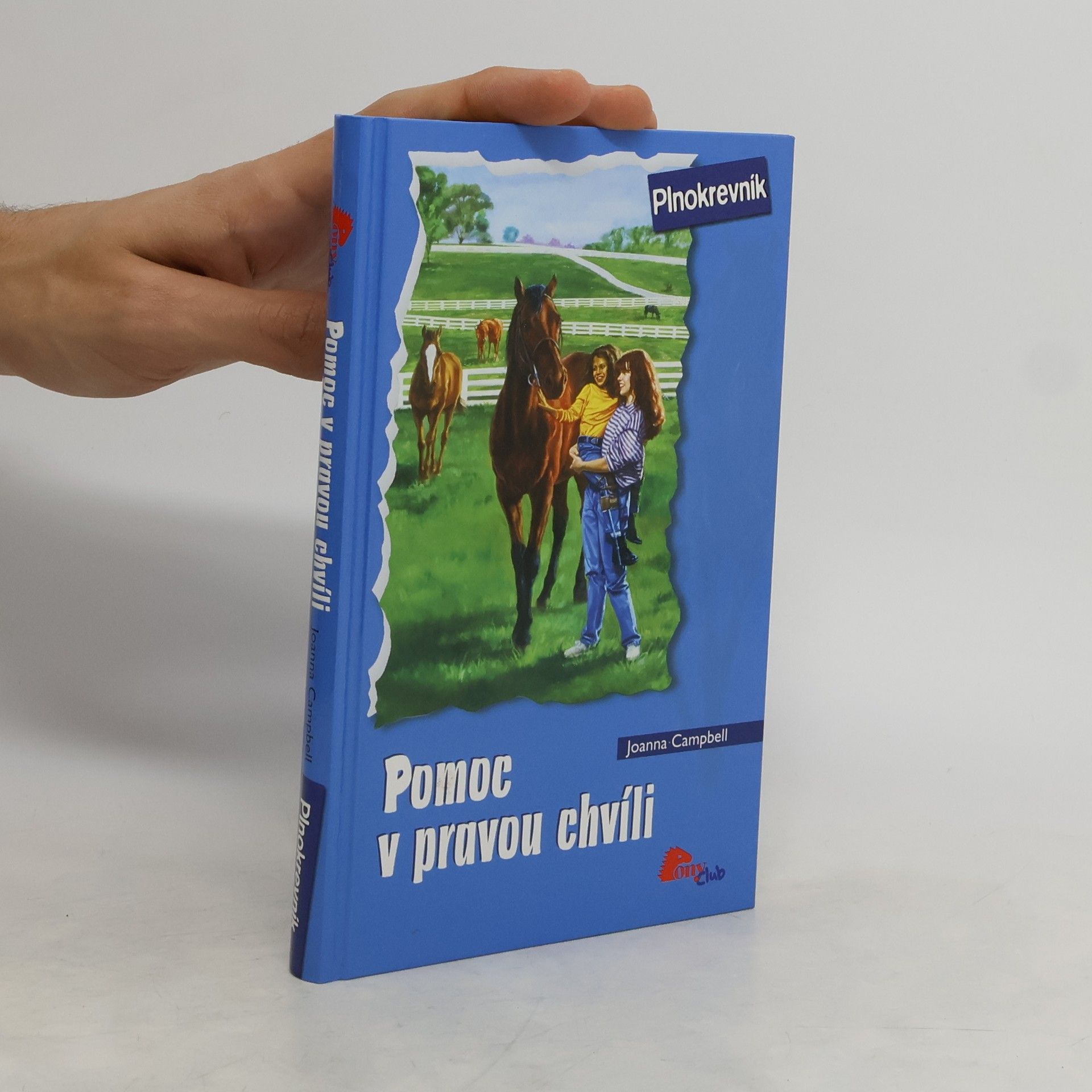 Joanna Campbell Pomoc v pravou chvíli