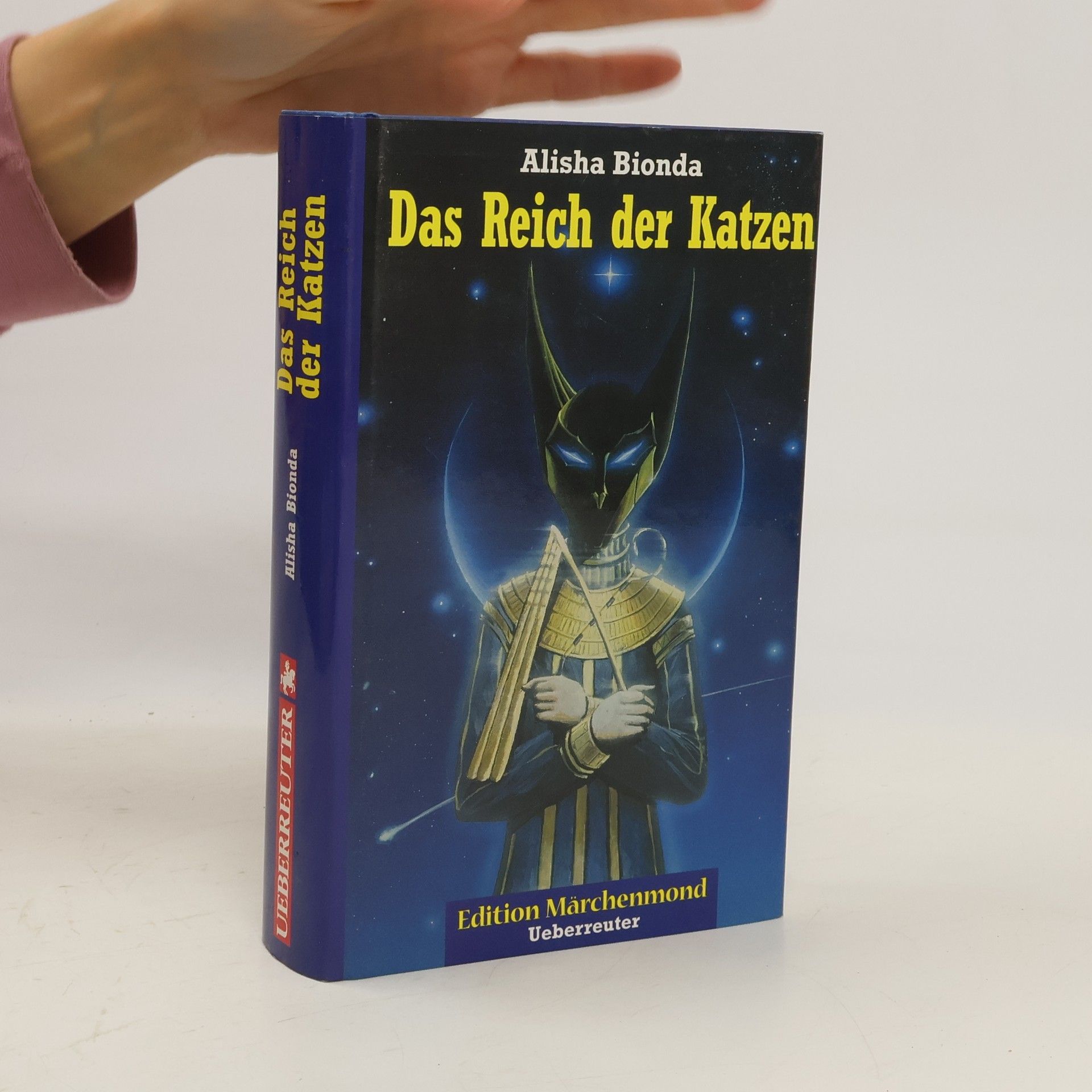 Gina RuckPauquéte Der eine Sommer