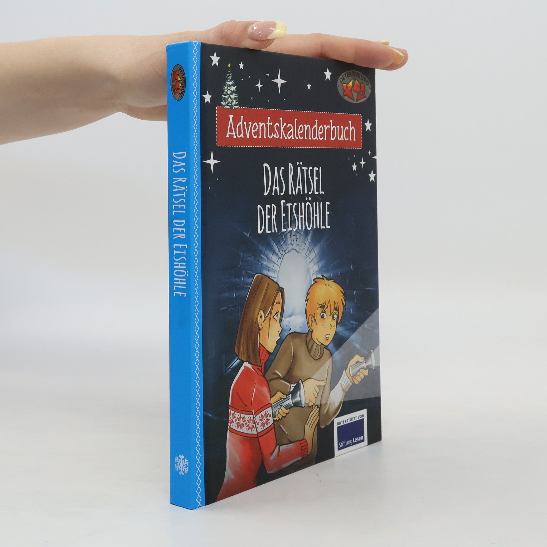 Autorenkollektiv Adventskalenderbuch. Das Rätsel der Eishöhle