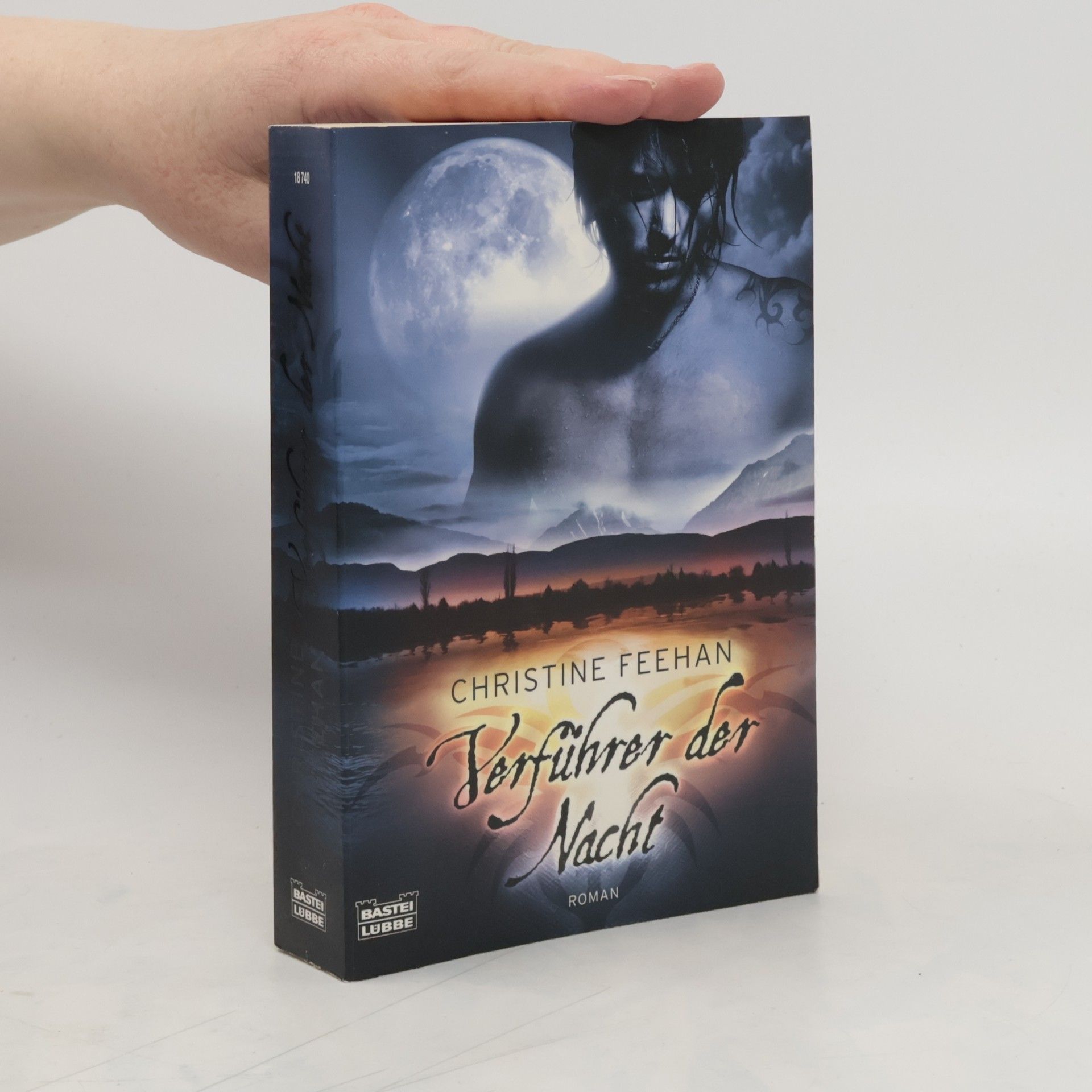 Christine Feehan Verführer der Nacht