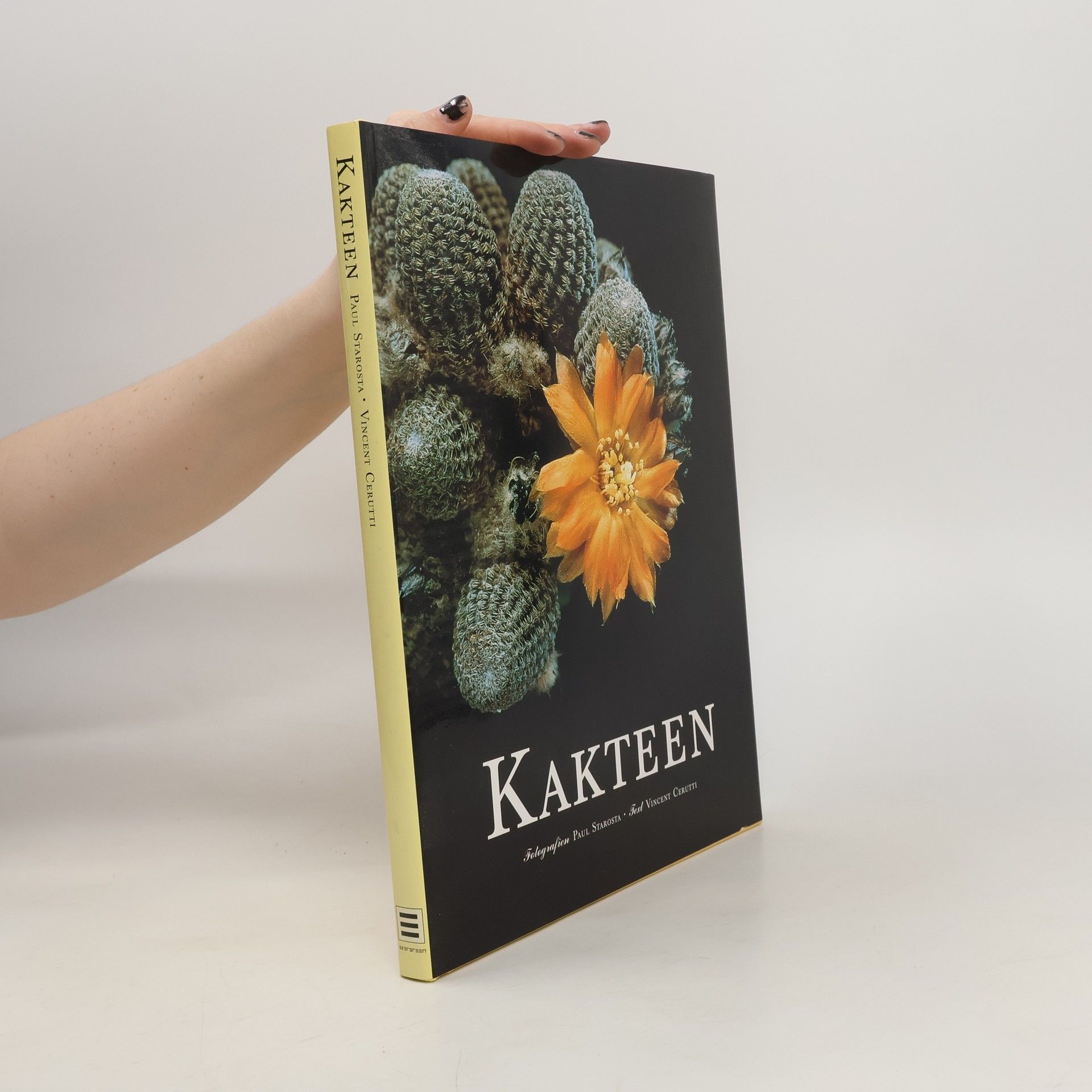 Kakteen