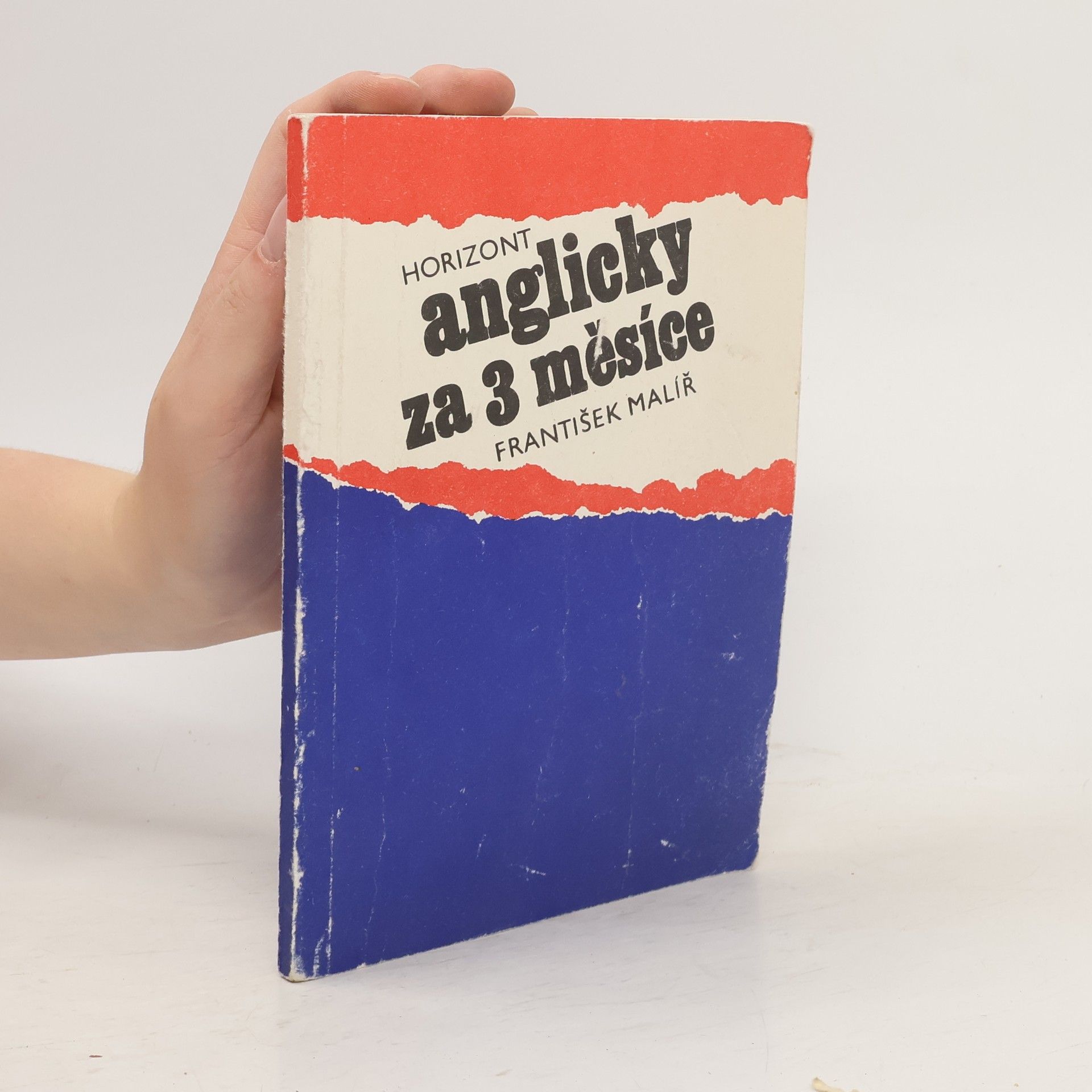 František Malíř Anglicky za 3 měsíce