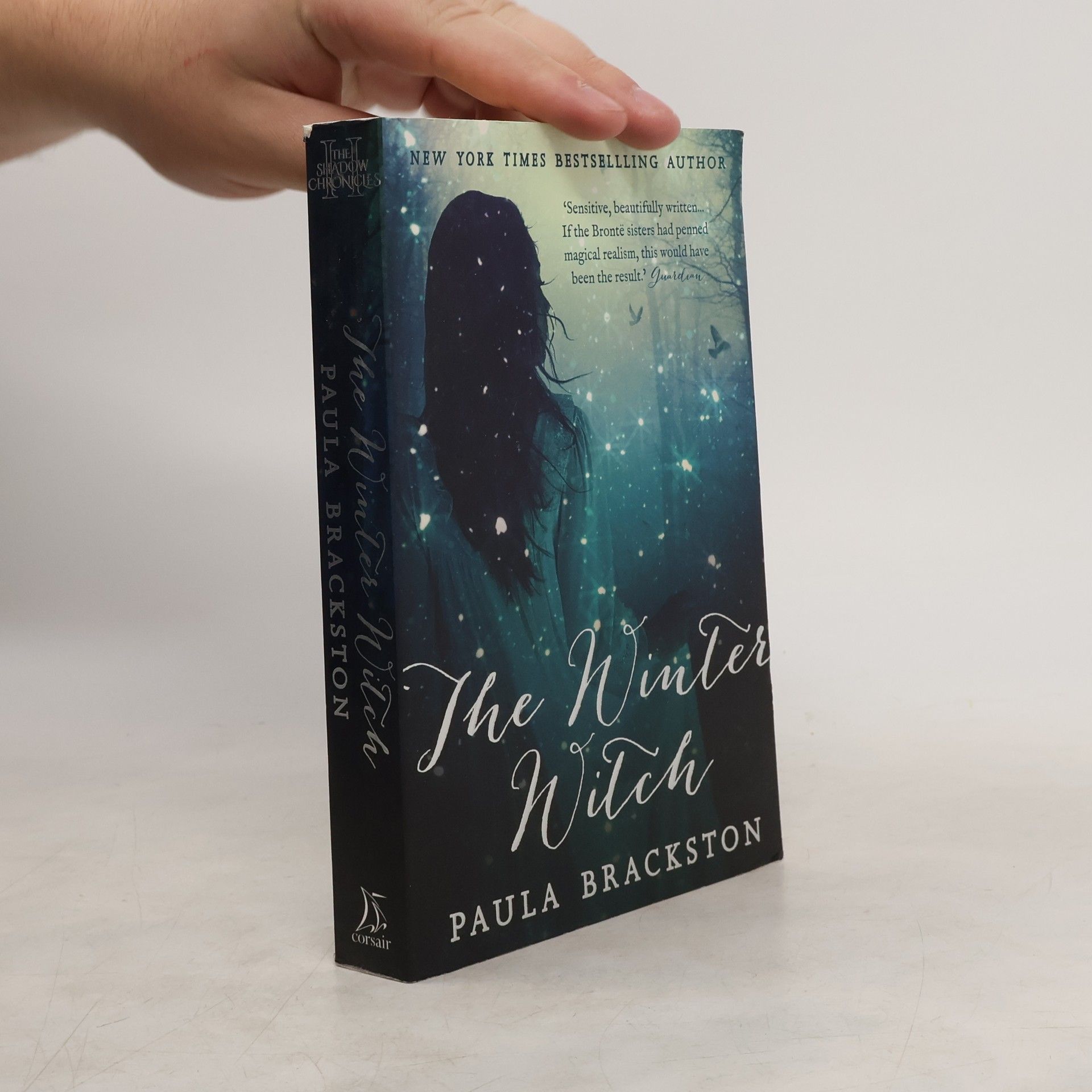 Paula Brackston The Winter Witch