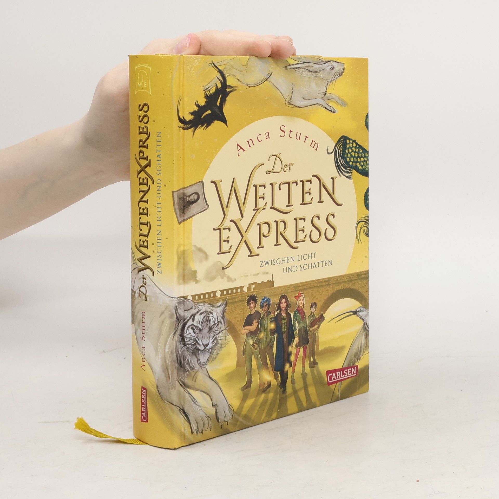 Anca Sturm Der Welten Express - Zwischen Licht und Schatten