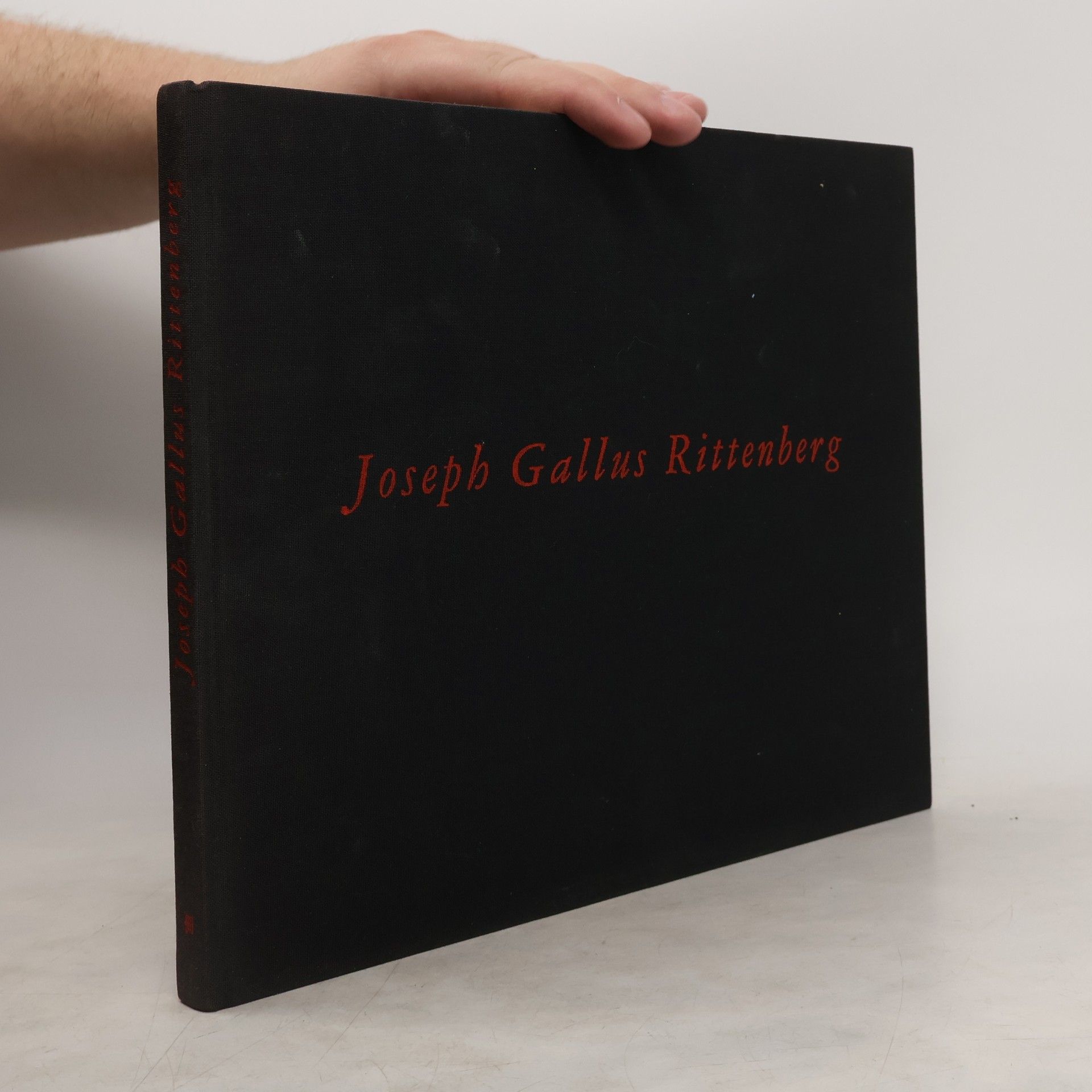 Joseph Gallus Rittenberg "Bilder aus anderen Umständen"