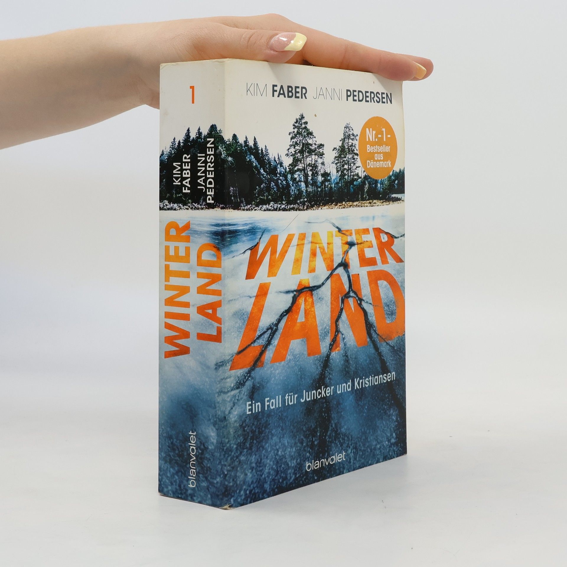 Kim Faber Winterland