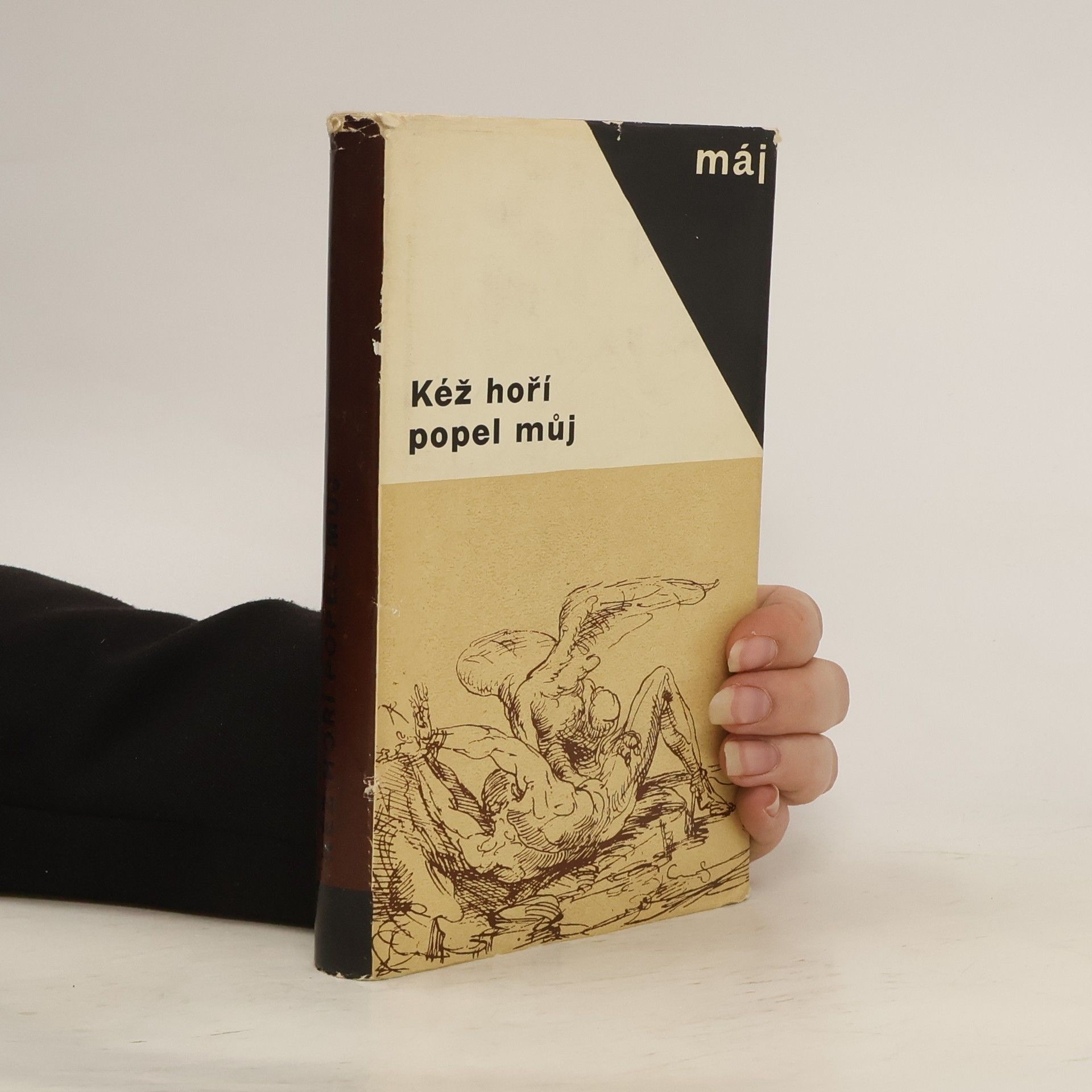 Václav Černý Kéž hoří popel můj