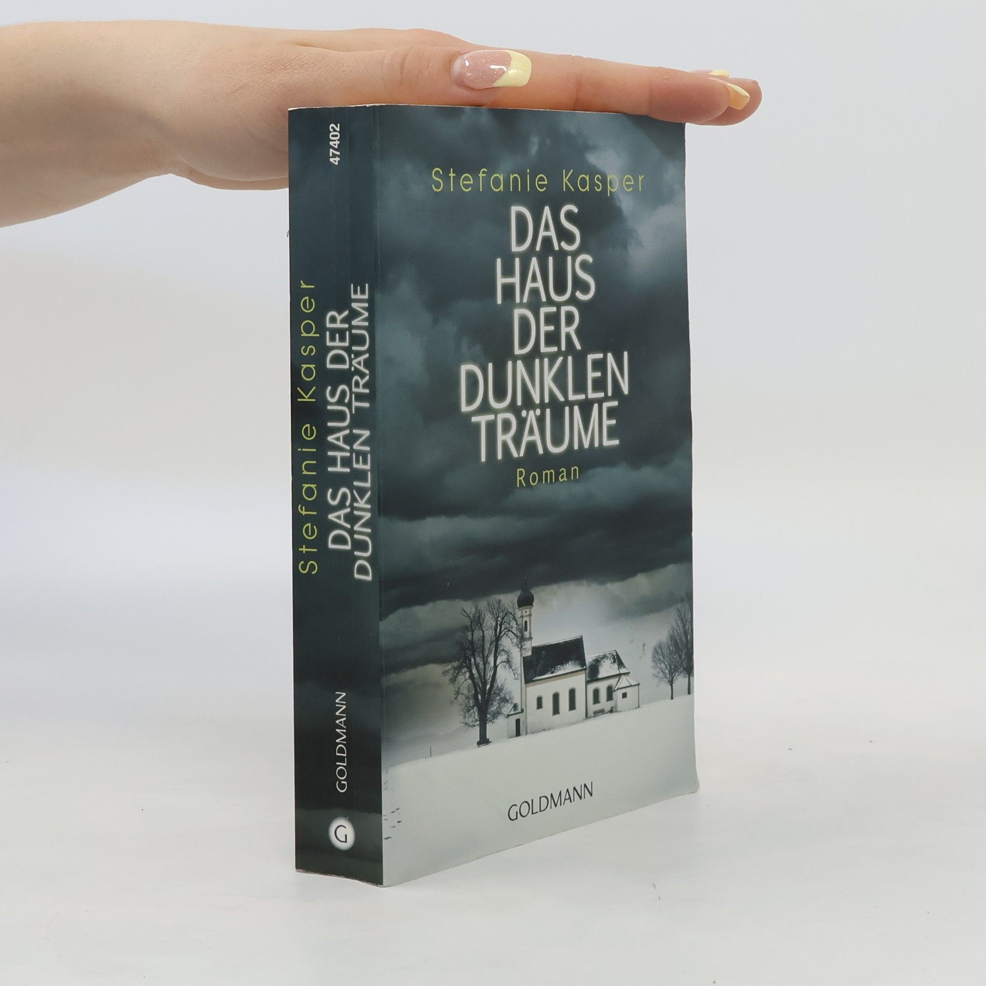 Stefanie Kasper Das Haus der dunklen Träume
