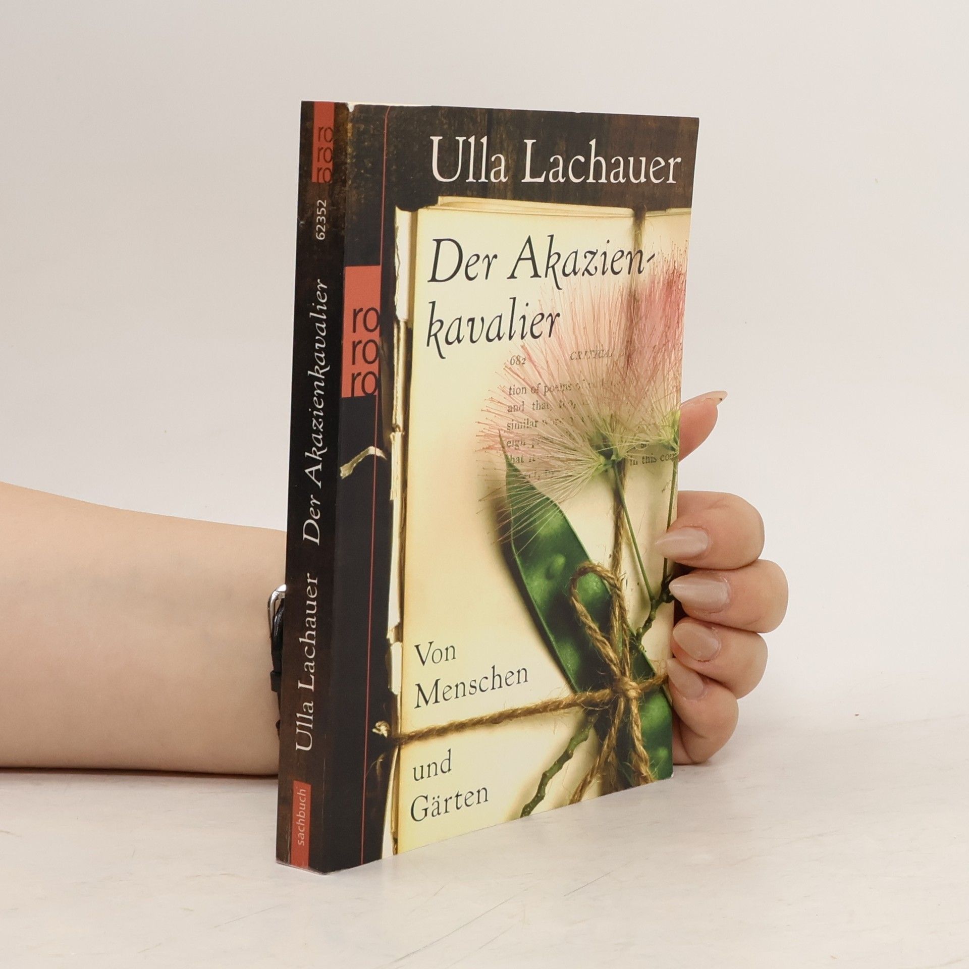 Ulla Lachauer Der Akazienkavalier