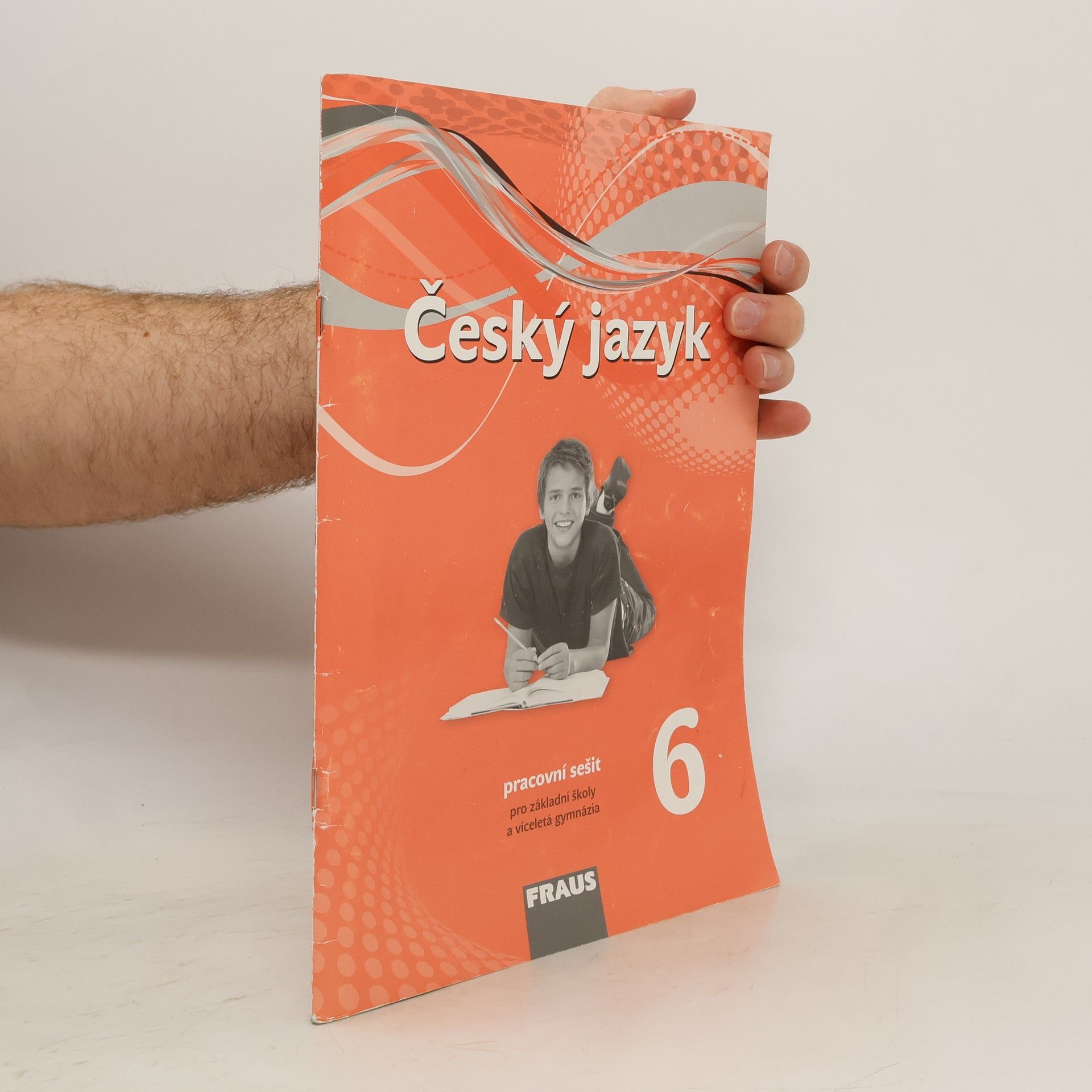Zdeňka Krausová Český jazyk 6 : pracovní sešit : pro základní školy a víceletá gymnázia