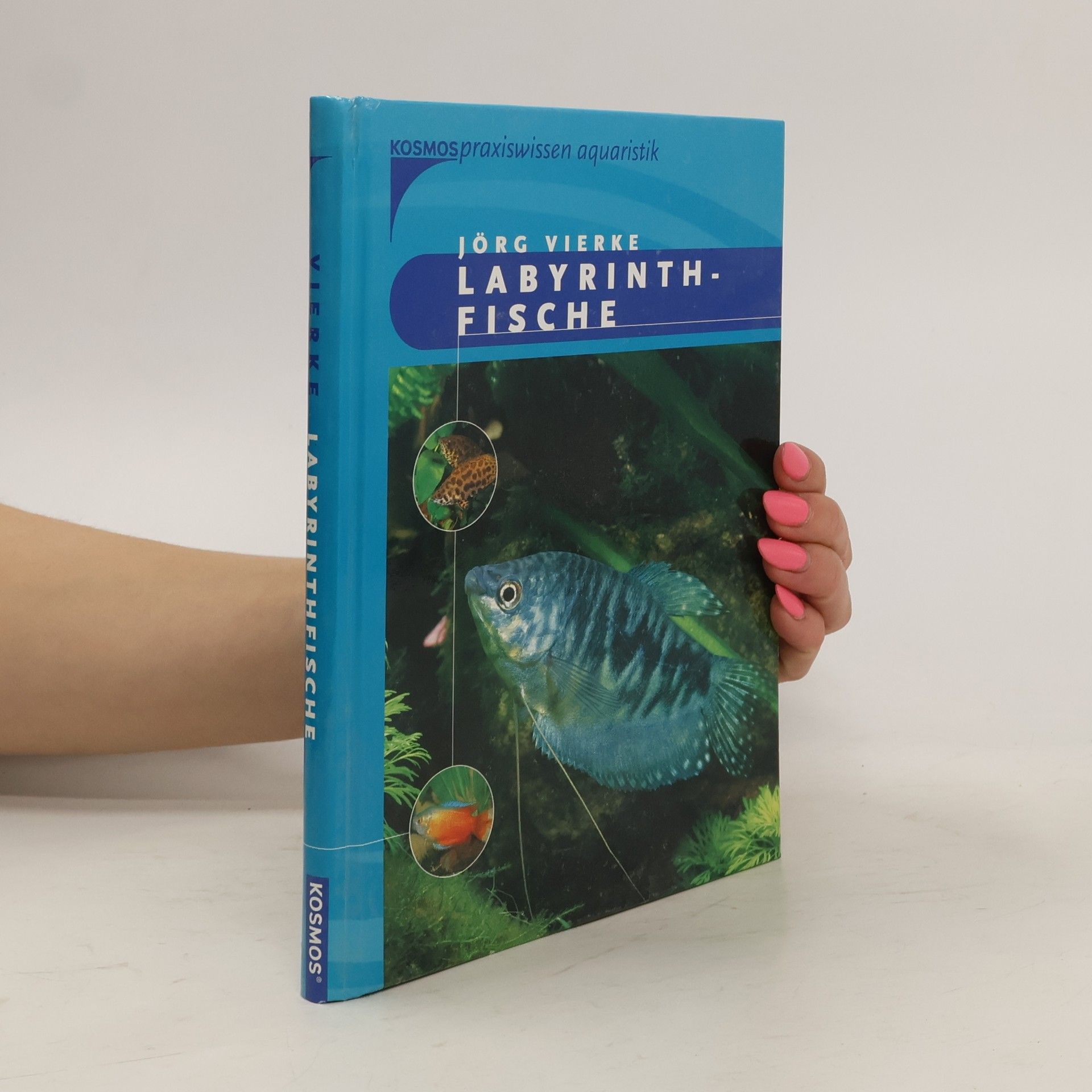 Jörg Vierke Labyrinth-Fische
