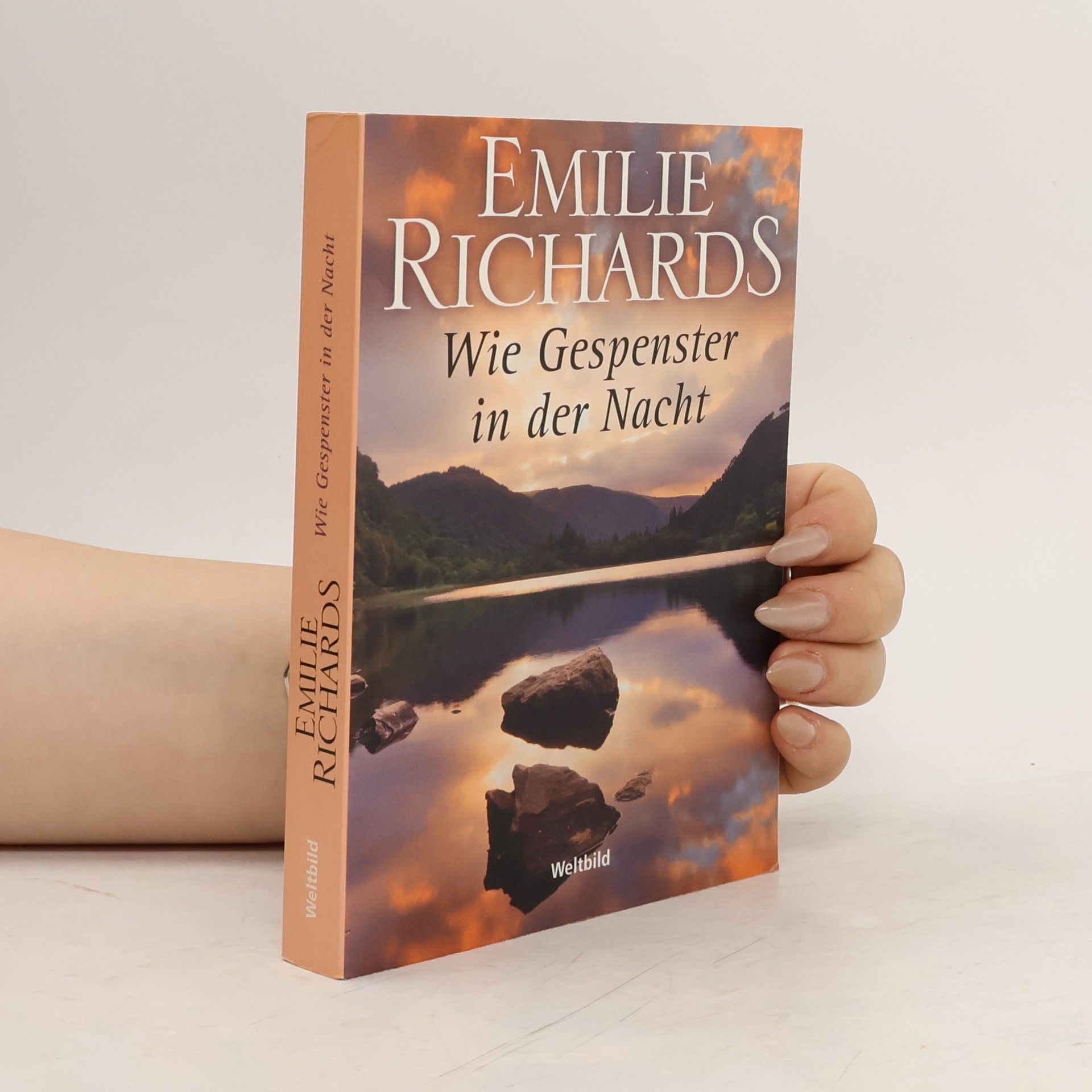 Emilie Richards Wie Gespenster in der Nacht