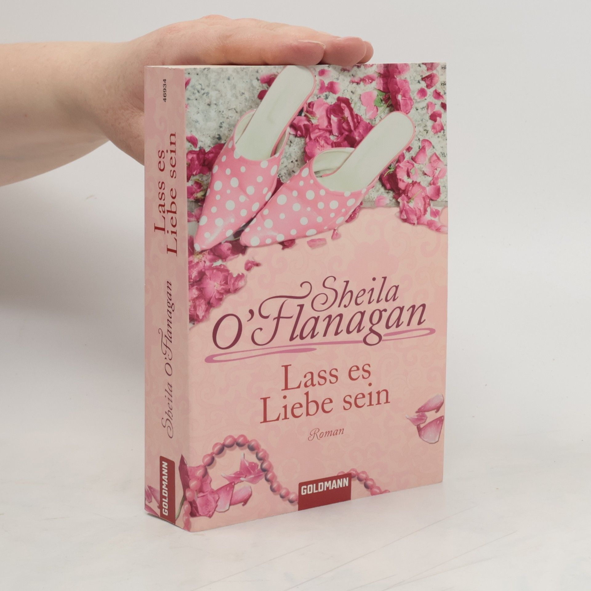 Sheila O’Flanagan Lass es Liebe sein. Roman